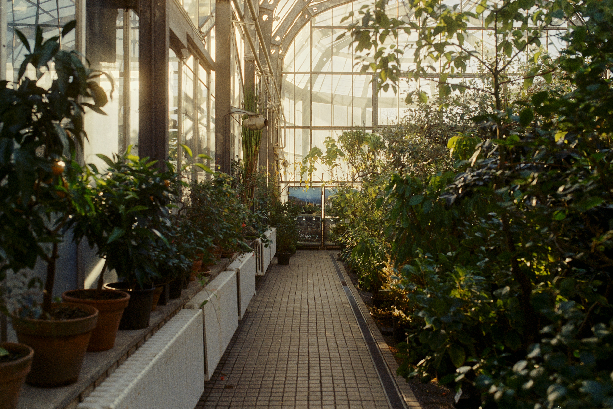 Botanical Garden Prague