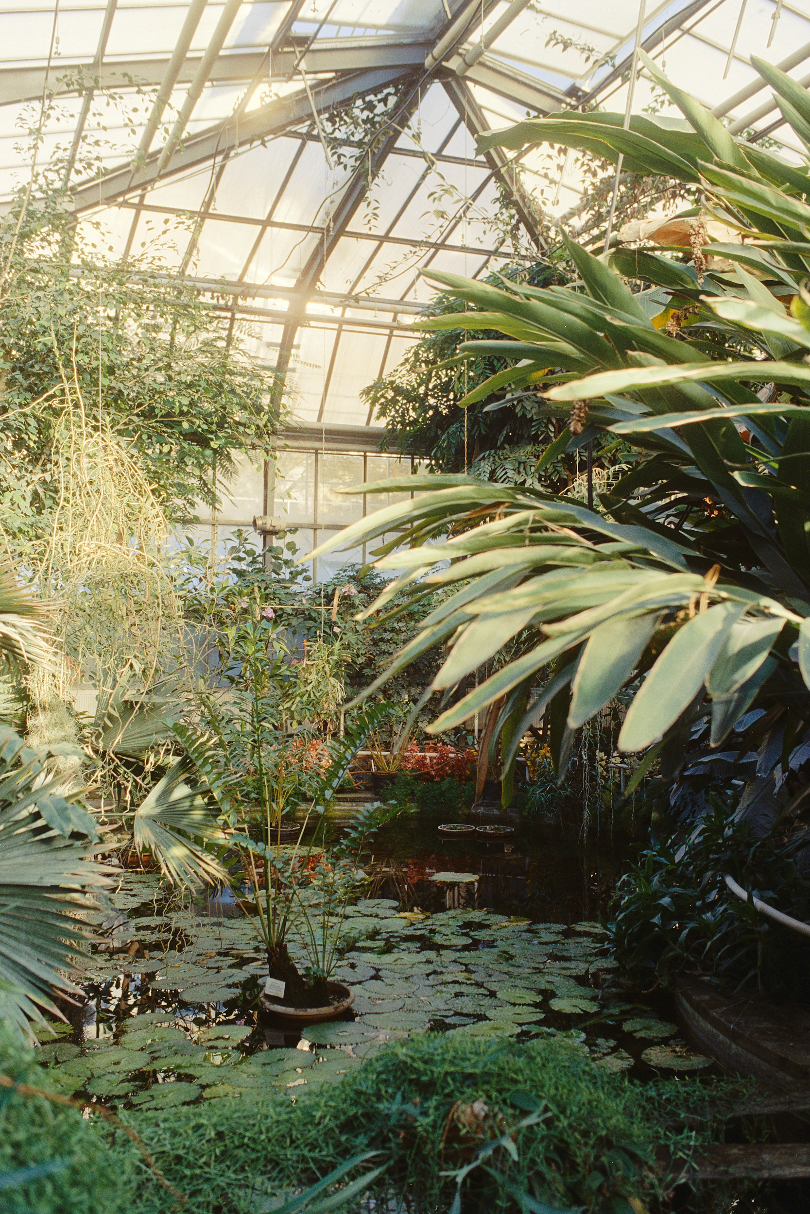 Architecture photography of the botanical garden and its Ponds