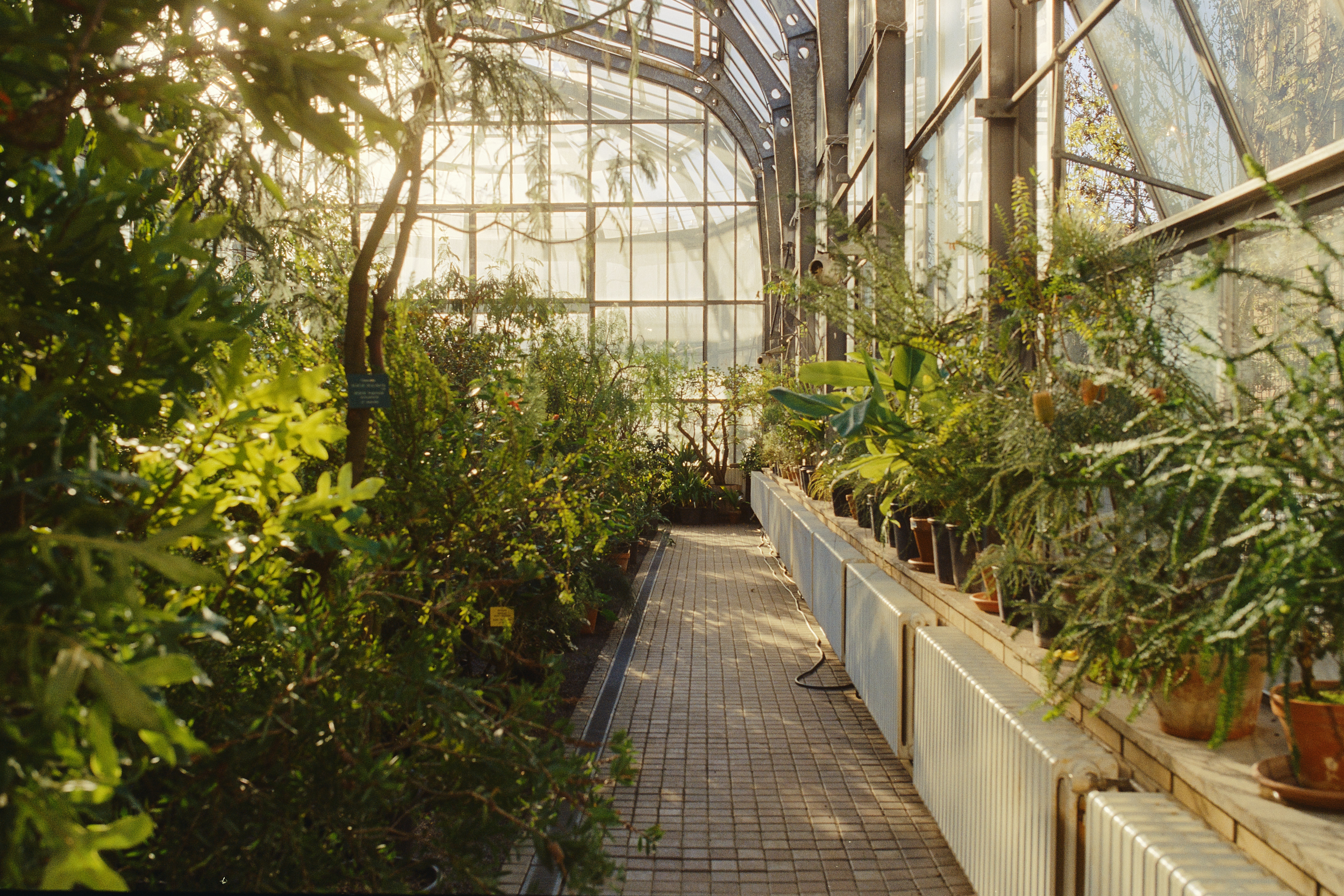 Architecture photography of the Botanická zahrada Přírodovědecké fakulty UK