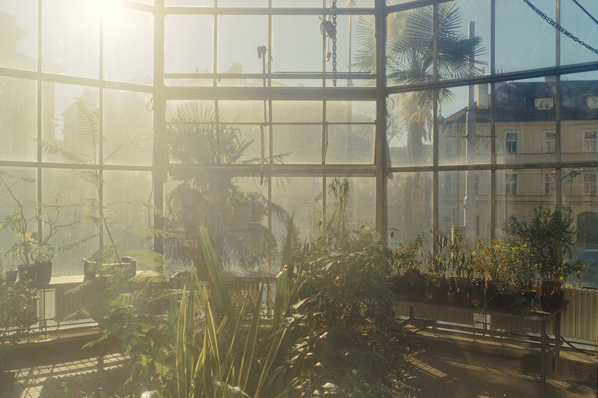 Botanická zahrada Přírodovědecké fakulty UK