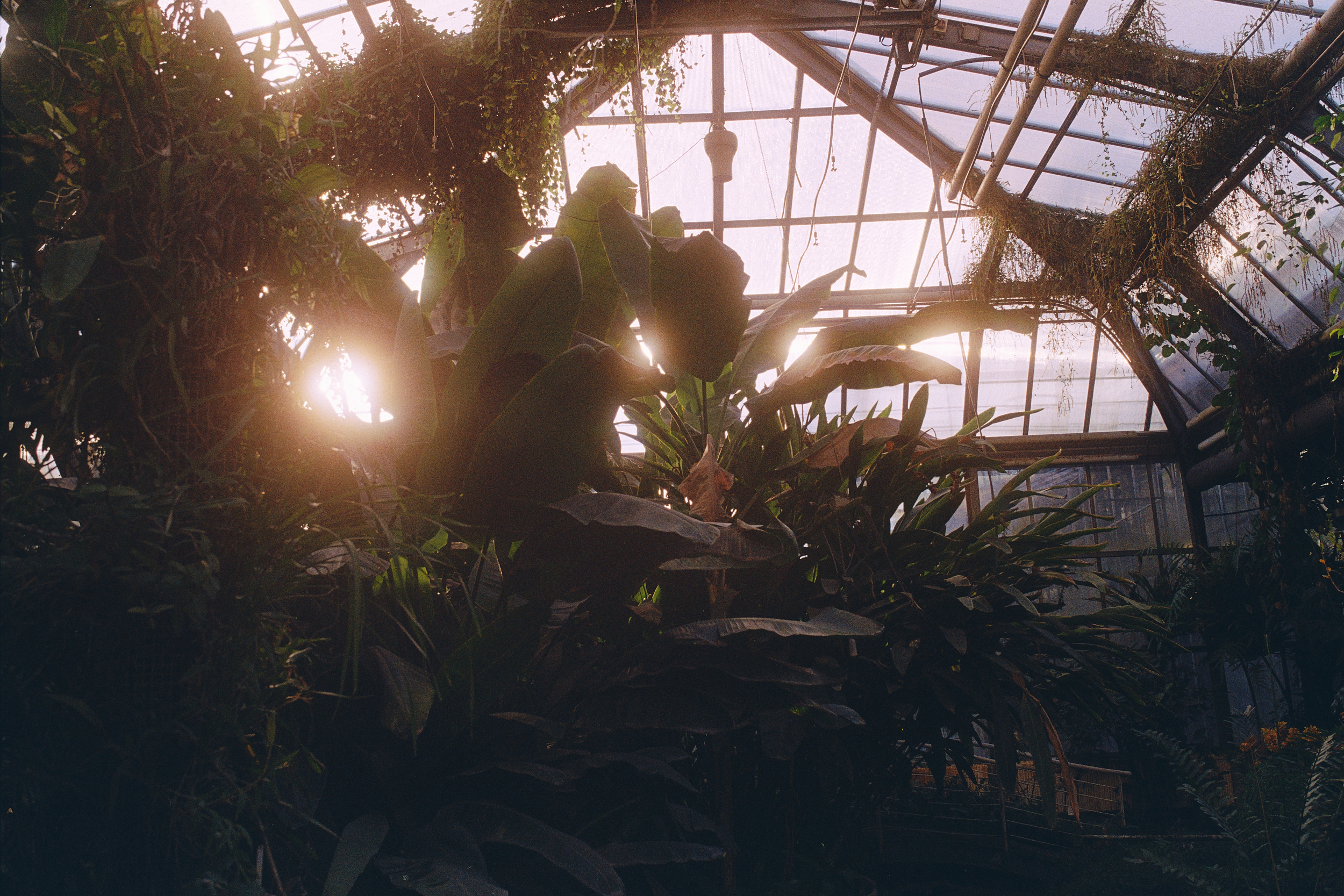 Botanická zahrada Přírodovědecké fakulty UK