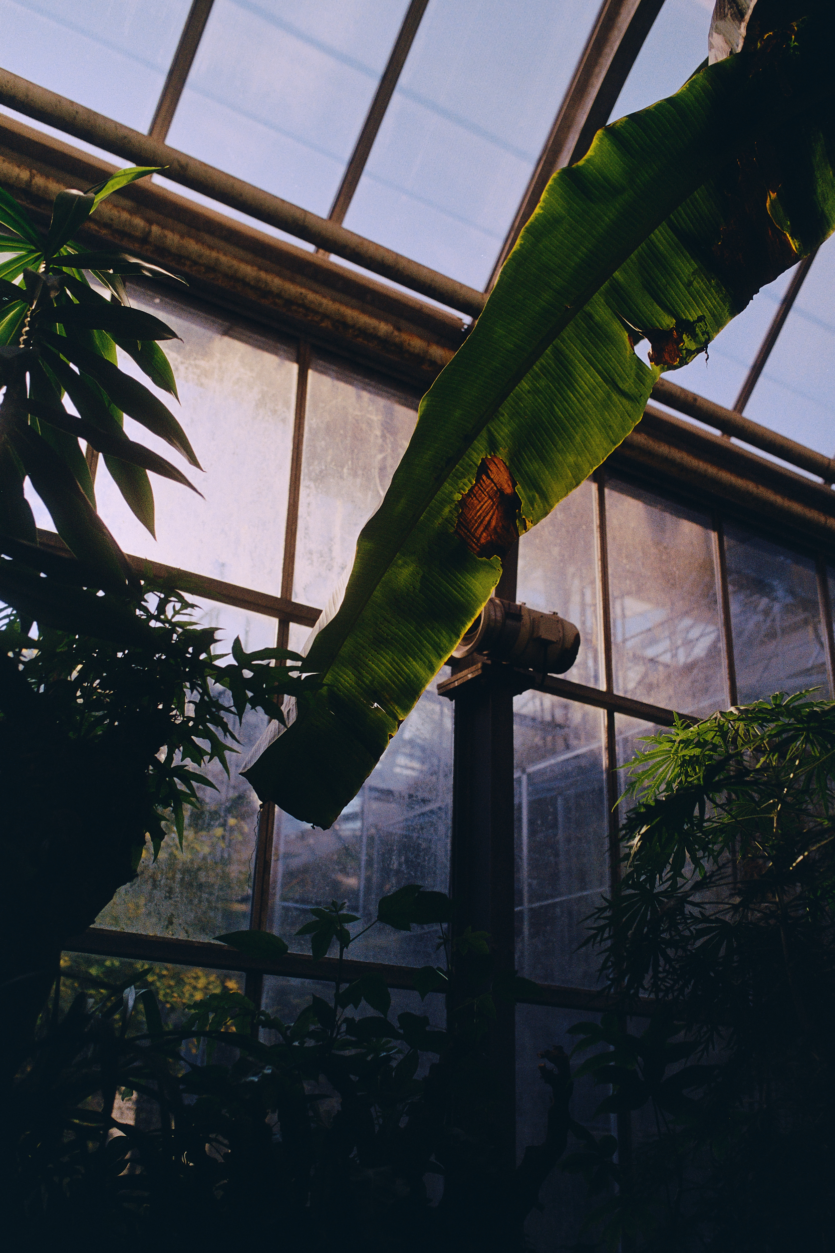 Botanická zahrada Přírodovědecké fakulty UK
