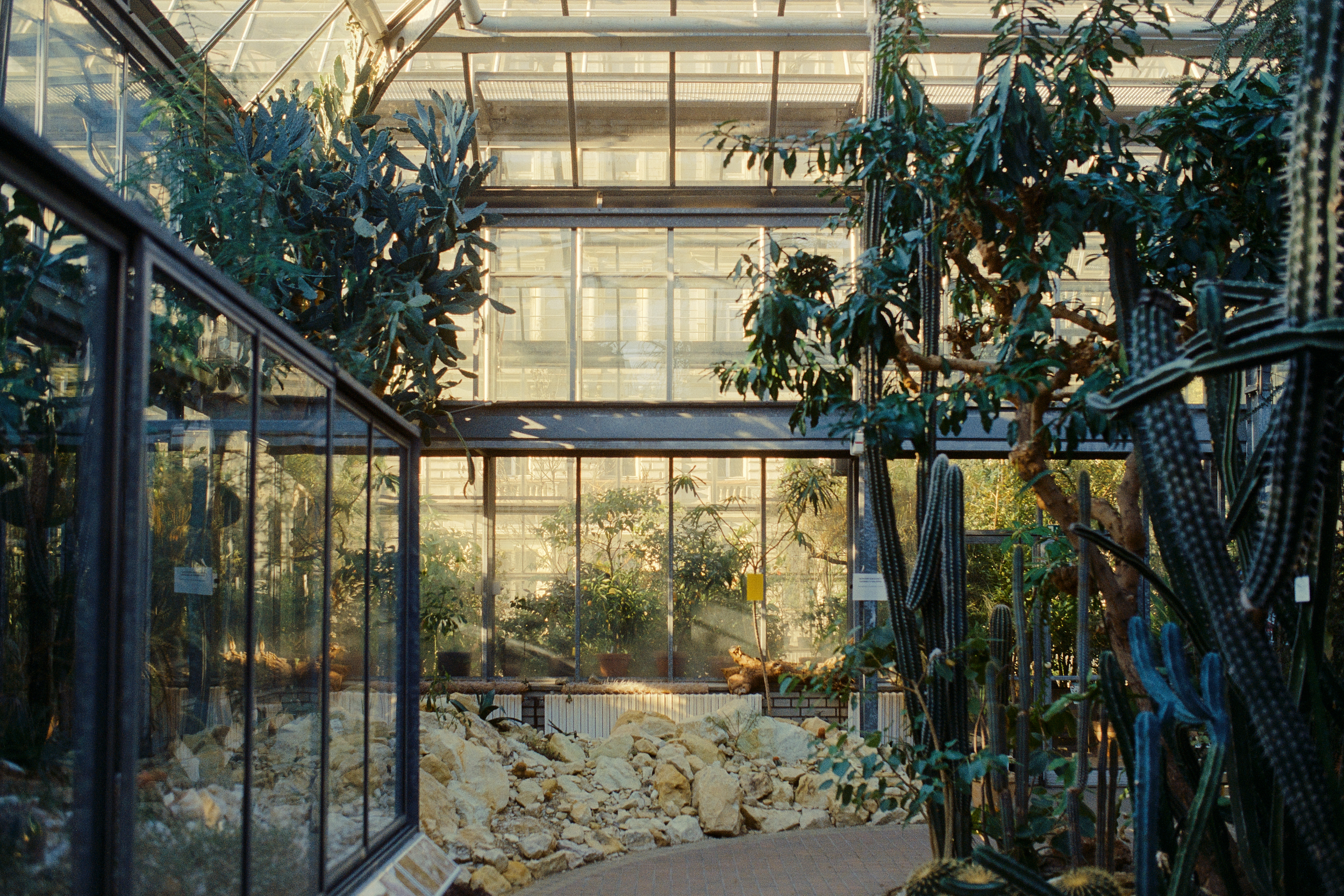Botanická zahrada Přírodovědecké fakulty UK