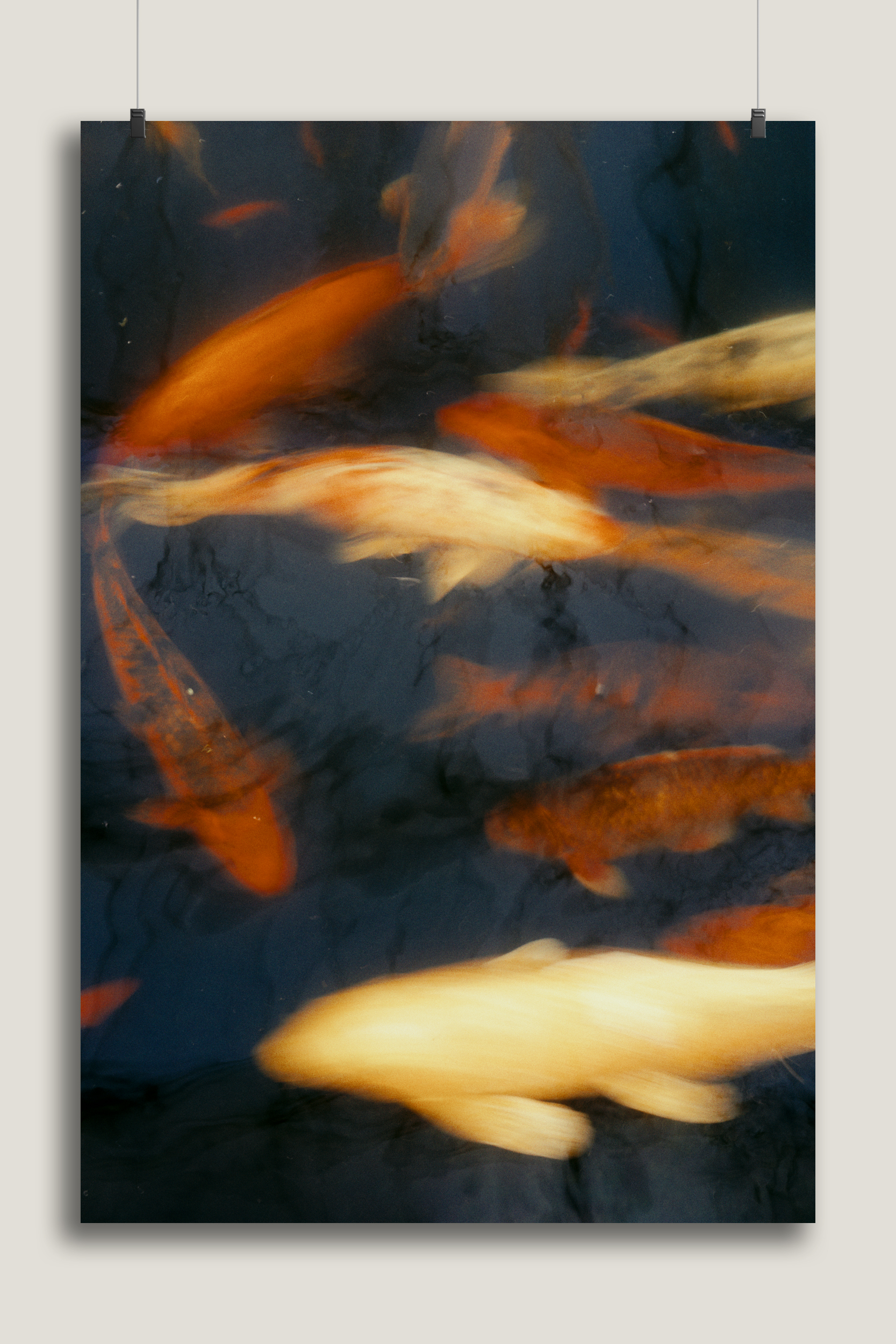 Poster of a vibrant Koi Pond
