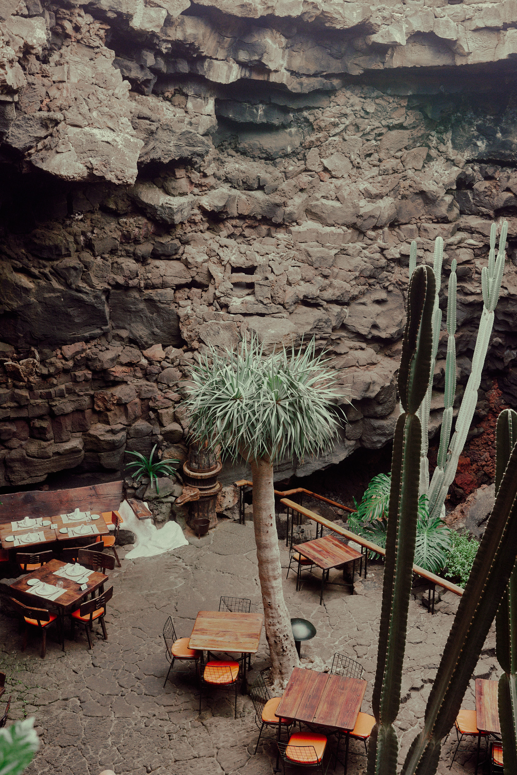 Der Innenhof von Jameos del Agua, Lanzarote, mit üppiger Vegetation.
