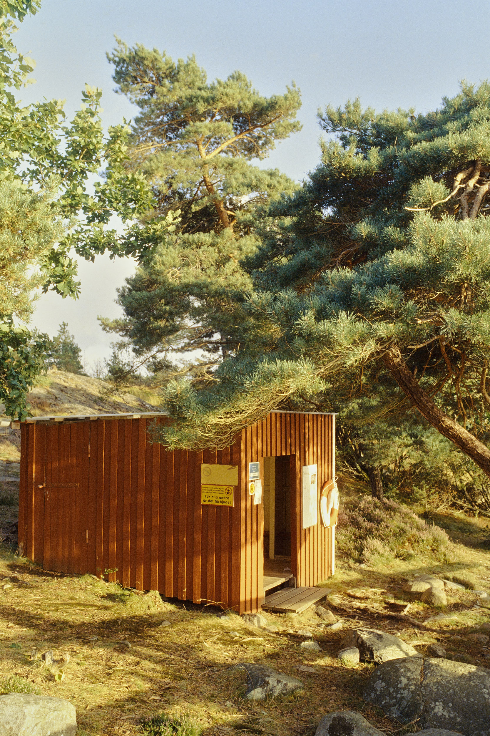 Wald und Felsen an der Küste von Tjörn: Reisefotografie von David Altrath