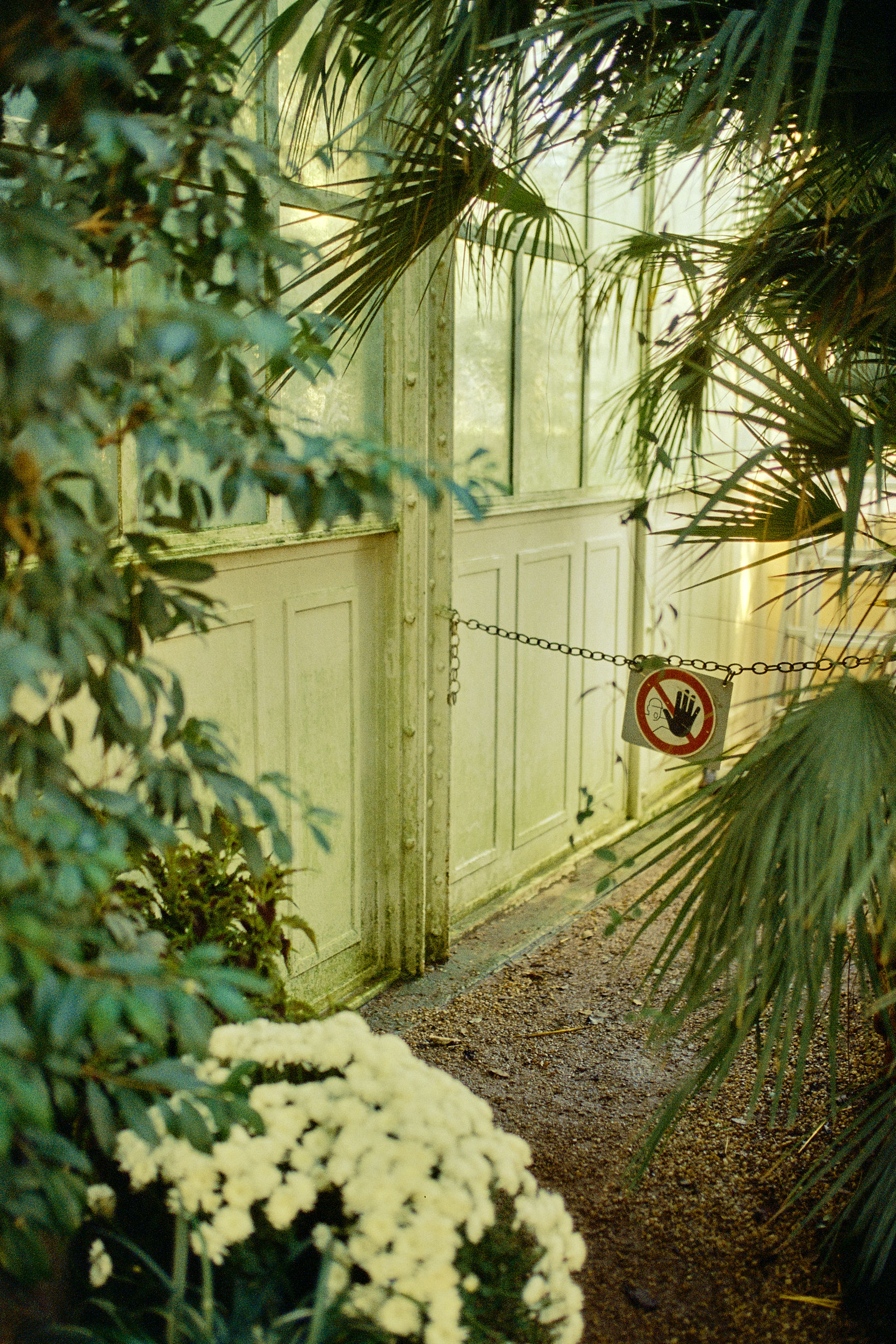 Ein außergewöhnliches Beispiel botanischer Architektur, fotografiert von David Altrath.