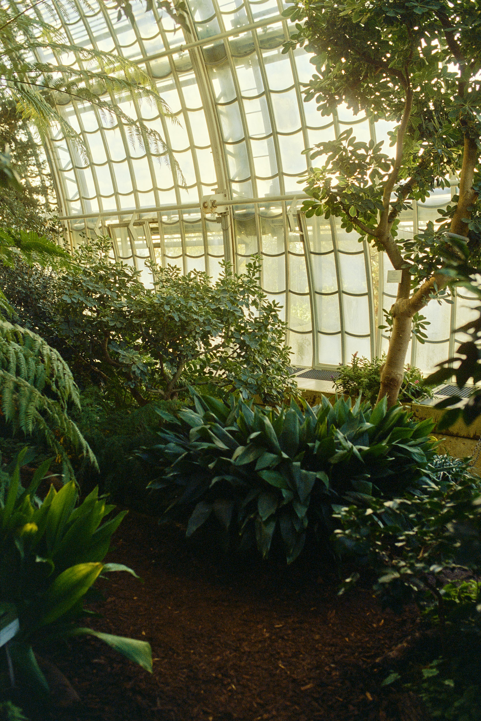 Blending steel and botany, the Palmenhaus stands as a centerpiece in David Altrath’s portfolio.