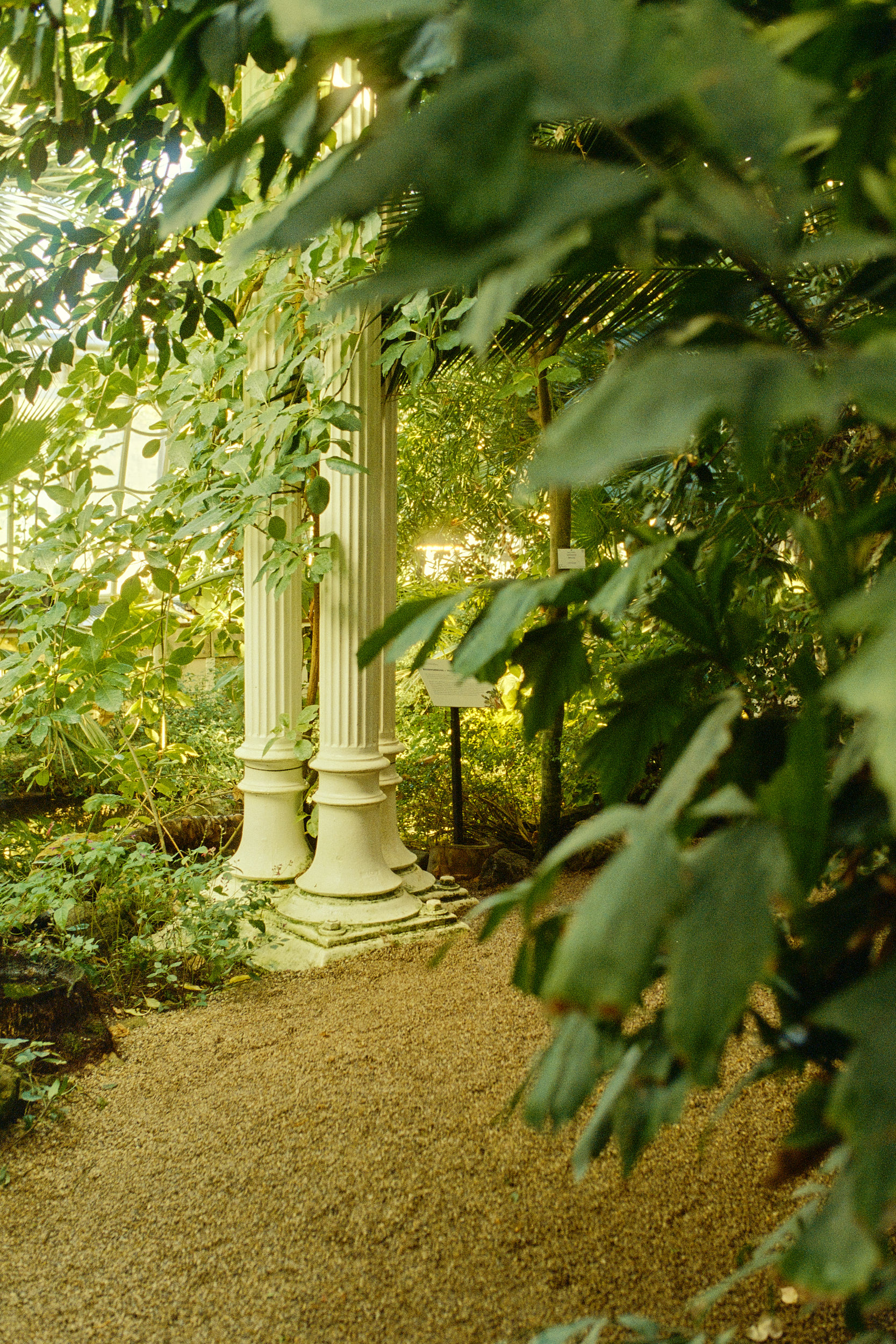 Natural light flows through the iconic glass ceiling, photographed by David Altrath.