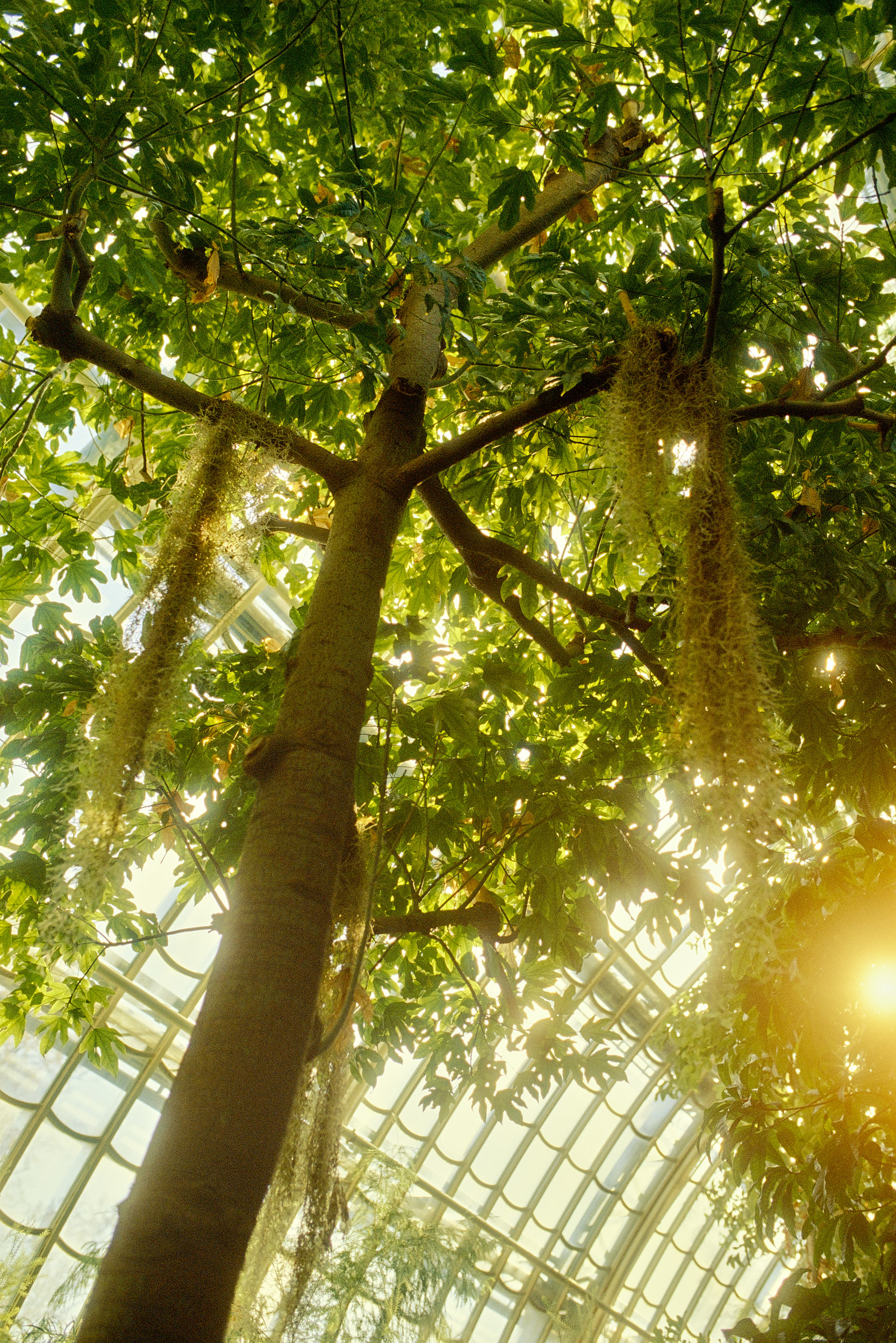 A harmonious blend of tropical plants and 19th-century design by Hamburg photographer David Altrath.