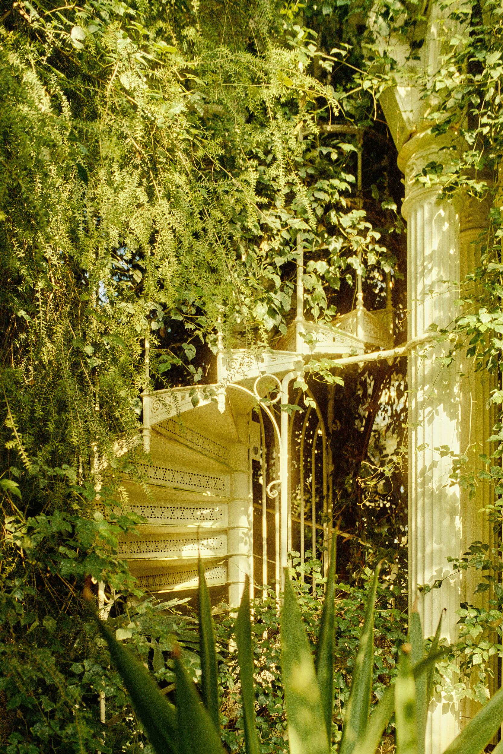 Architektonische Perfektion: Das Palmenhaus als Meisterwerk der Architekturfotografie von David Altrath.