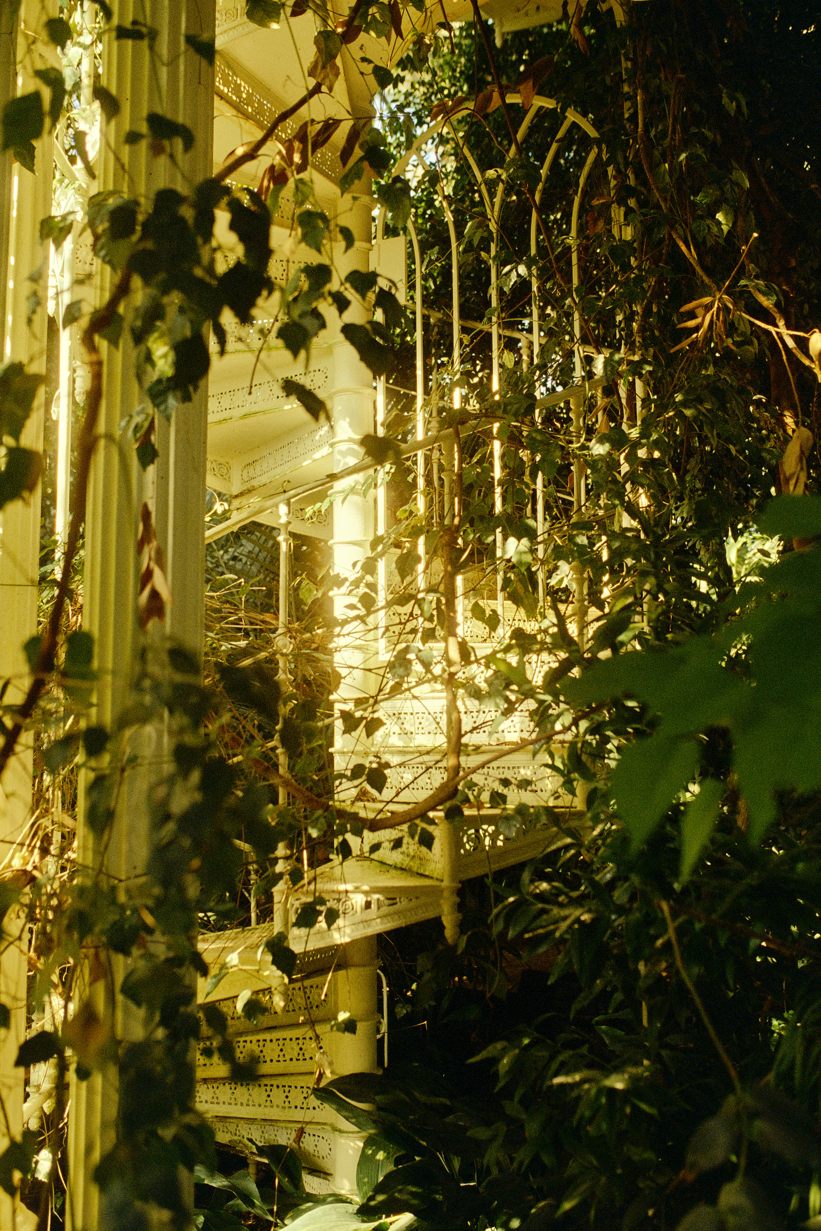 A study in light and texture: the Palmenhaus photographed by David Altrath.