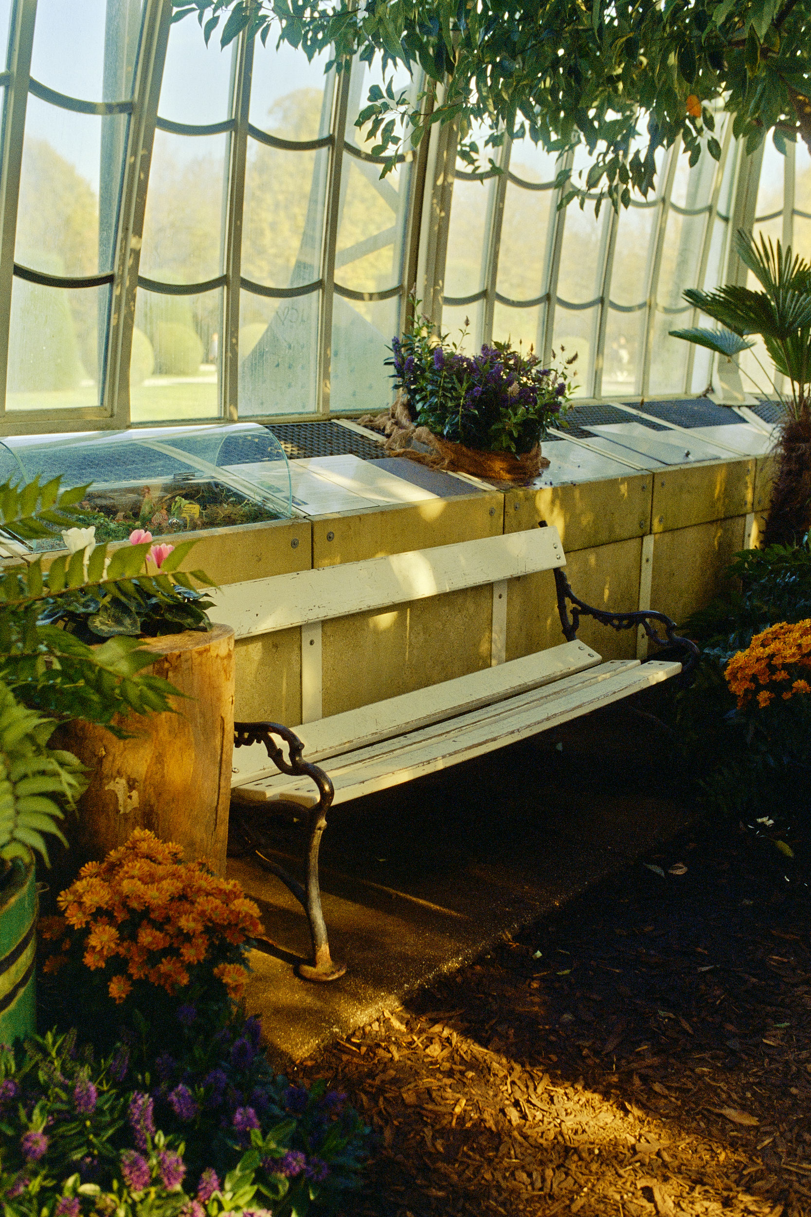 Ein harmonisches Zusammenspiel von Natur und Architektur im Palmenhaus, aufgenommen von David Altrath.