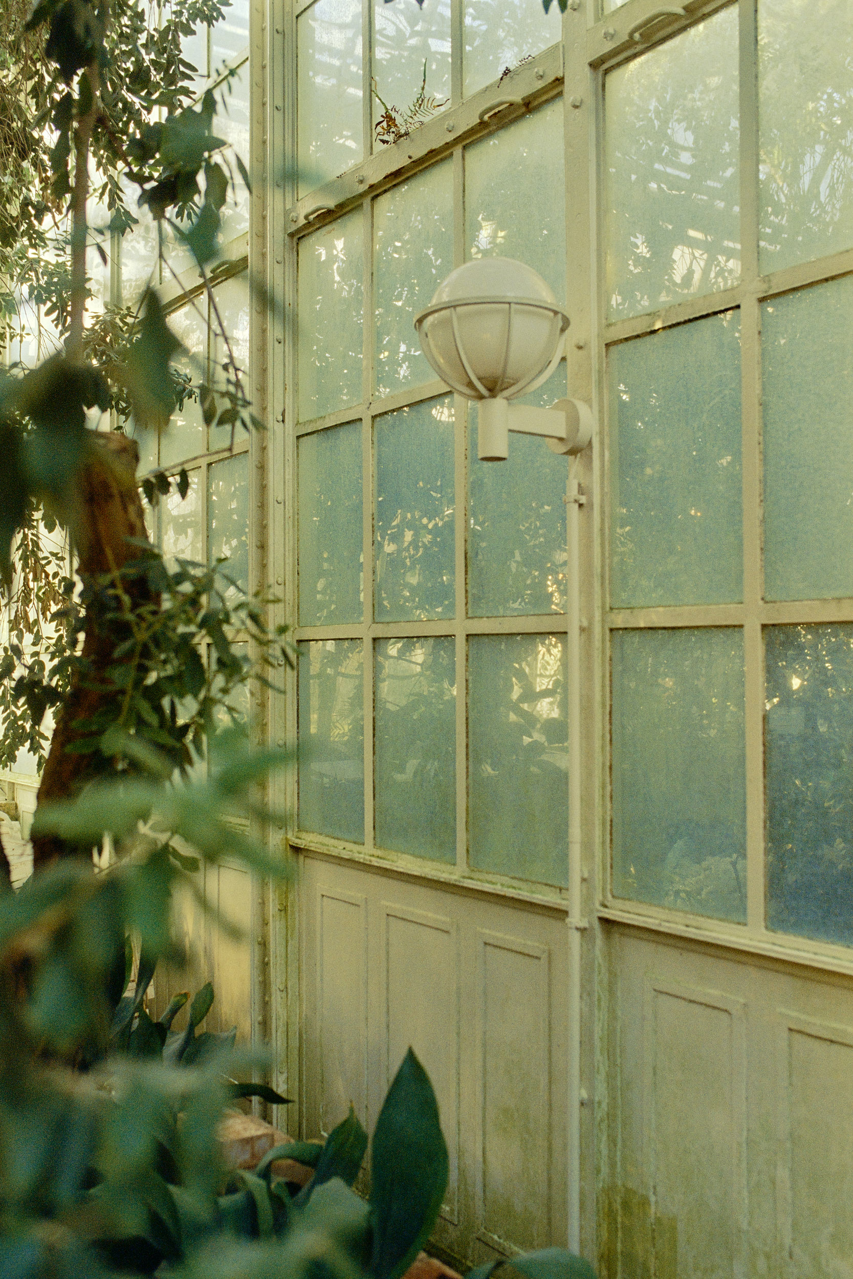Die historische Glas-Stahl-Struktur des Palmenhauses, festgehalten von David Altrath aus Hamburg
