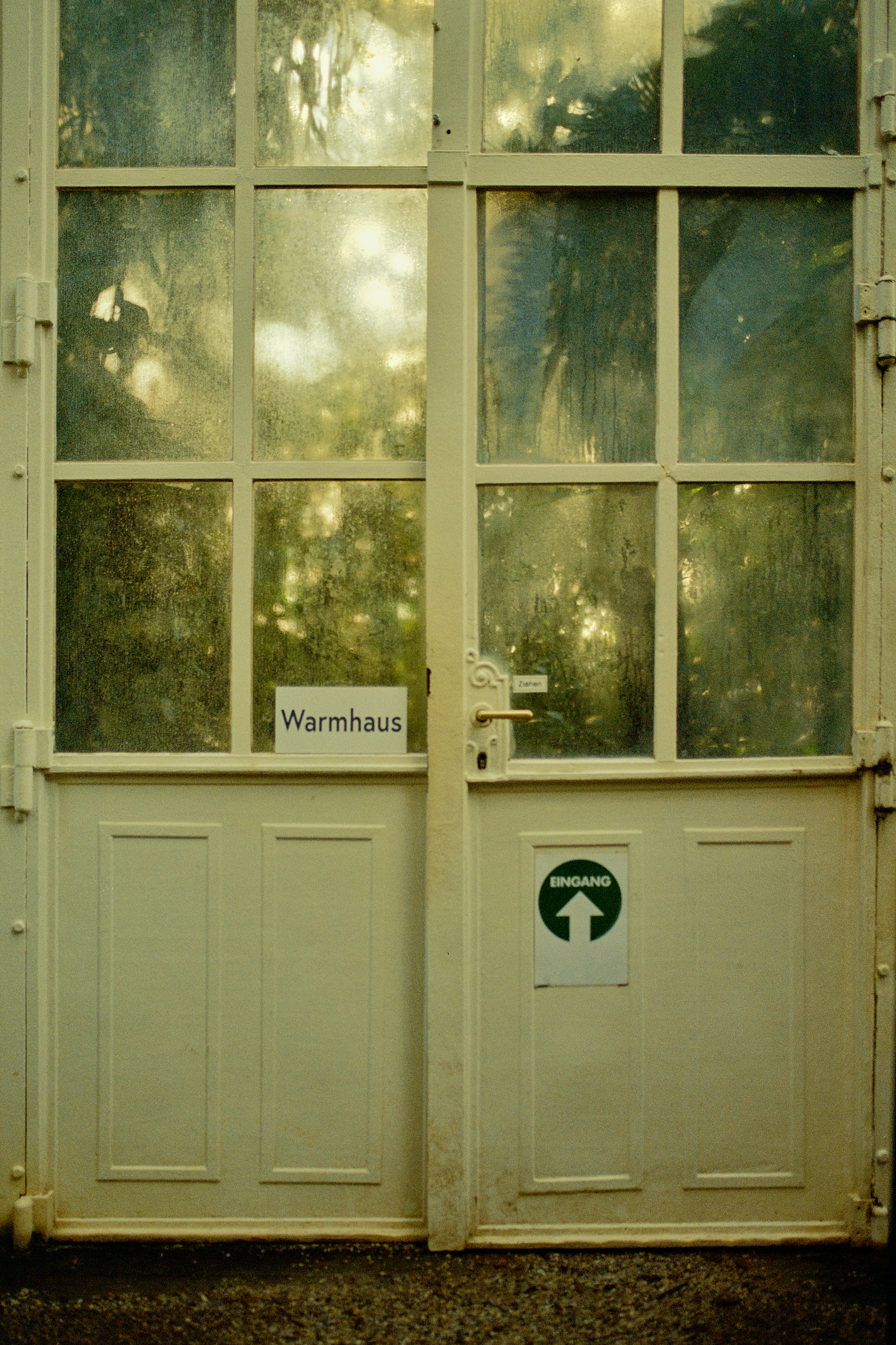 Das Lichtspiel durch die Glaswände des Palmenhauses, ein Highlight von David Altraths Serie.