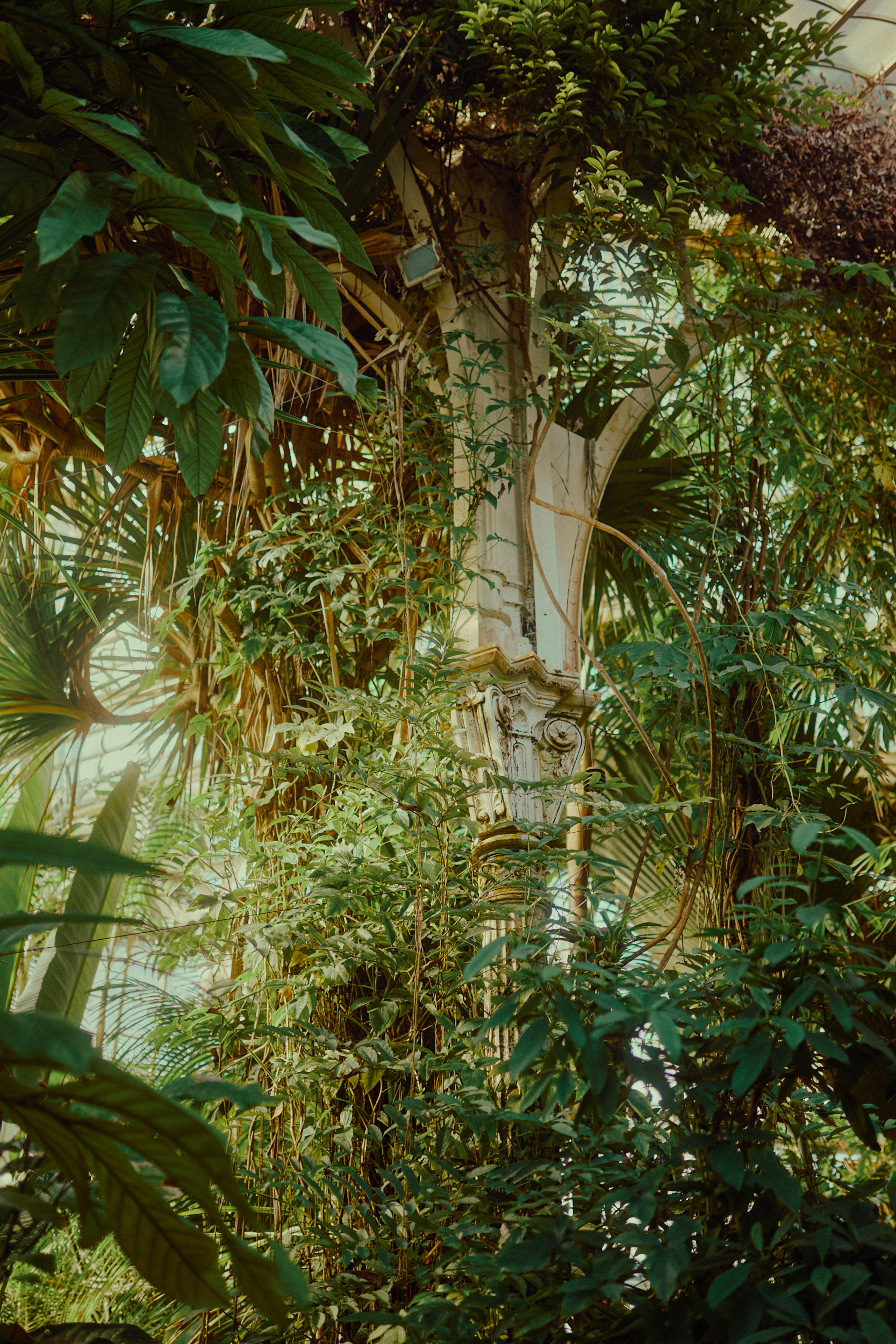 Historische Glas-Stahl-Elemente im Palmenhaus, fotografiert von David Altrath aus Hamburg