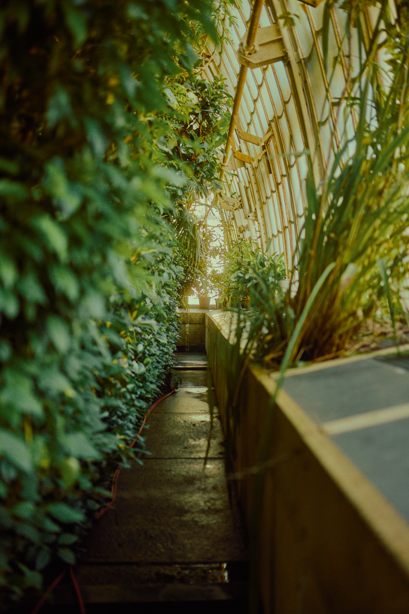 Architekturfotografie in Wien von David Altrath – Detailreiche Bilder zeitgenössischer Gebäude.