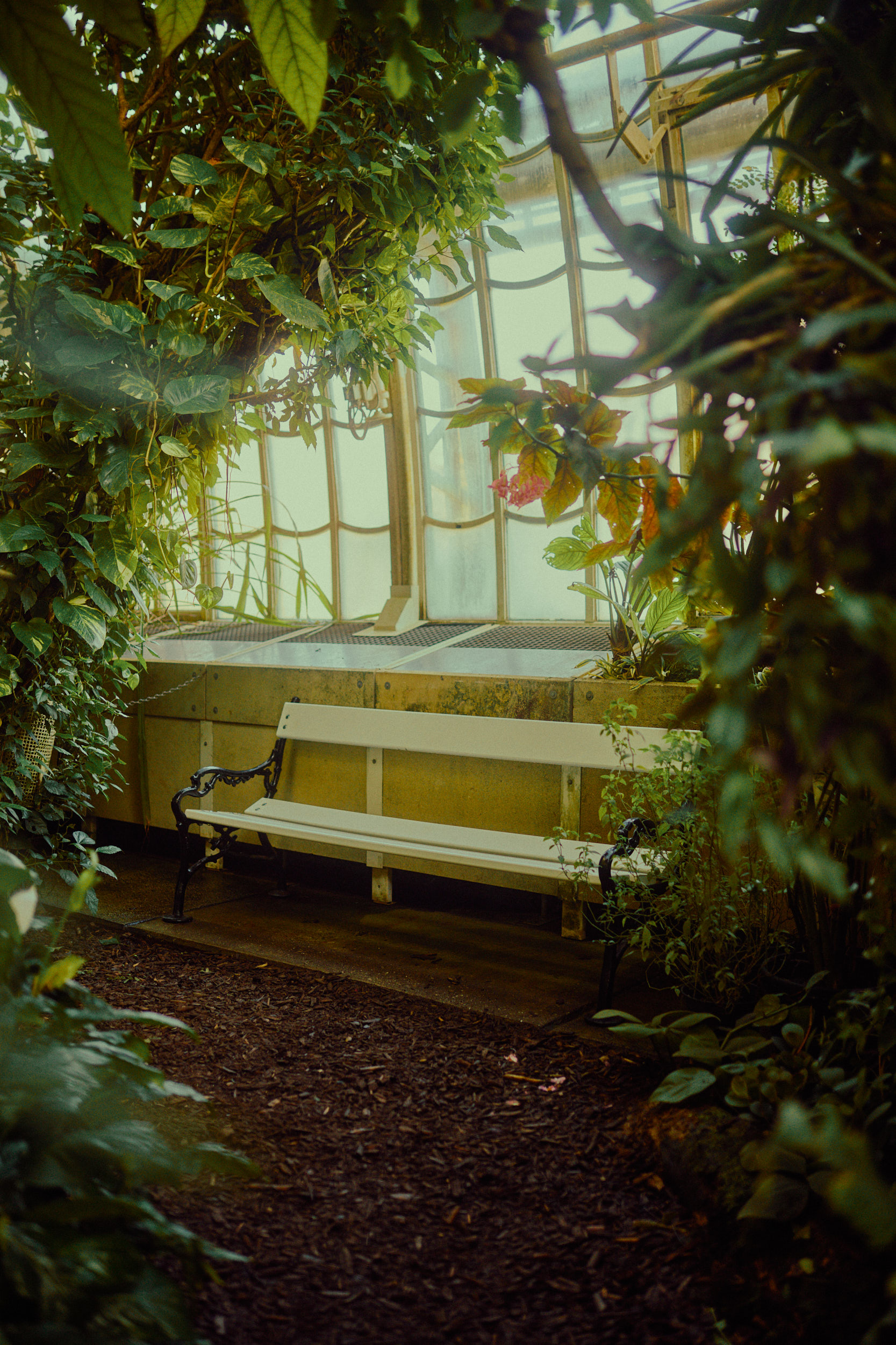 Rare glimpses of botanical wonders under glass, captured by Hamburg photographer David Altrath.