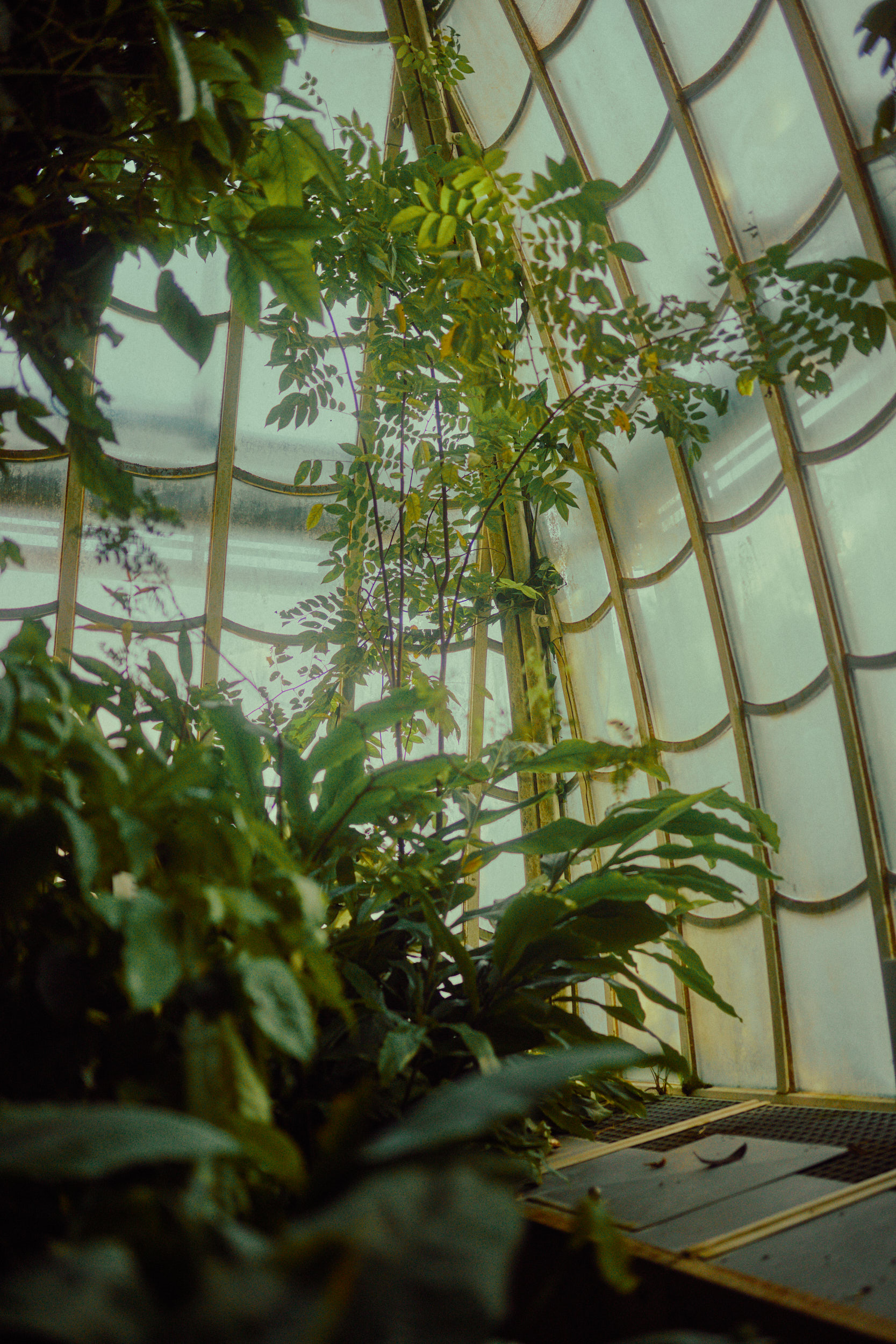 Blick in die beeindruckende Höhe des zentralen Pavillons, fotografiert von David Altrath.