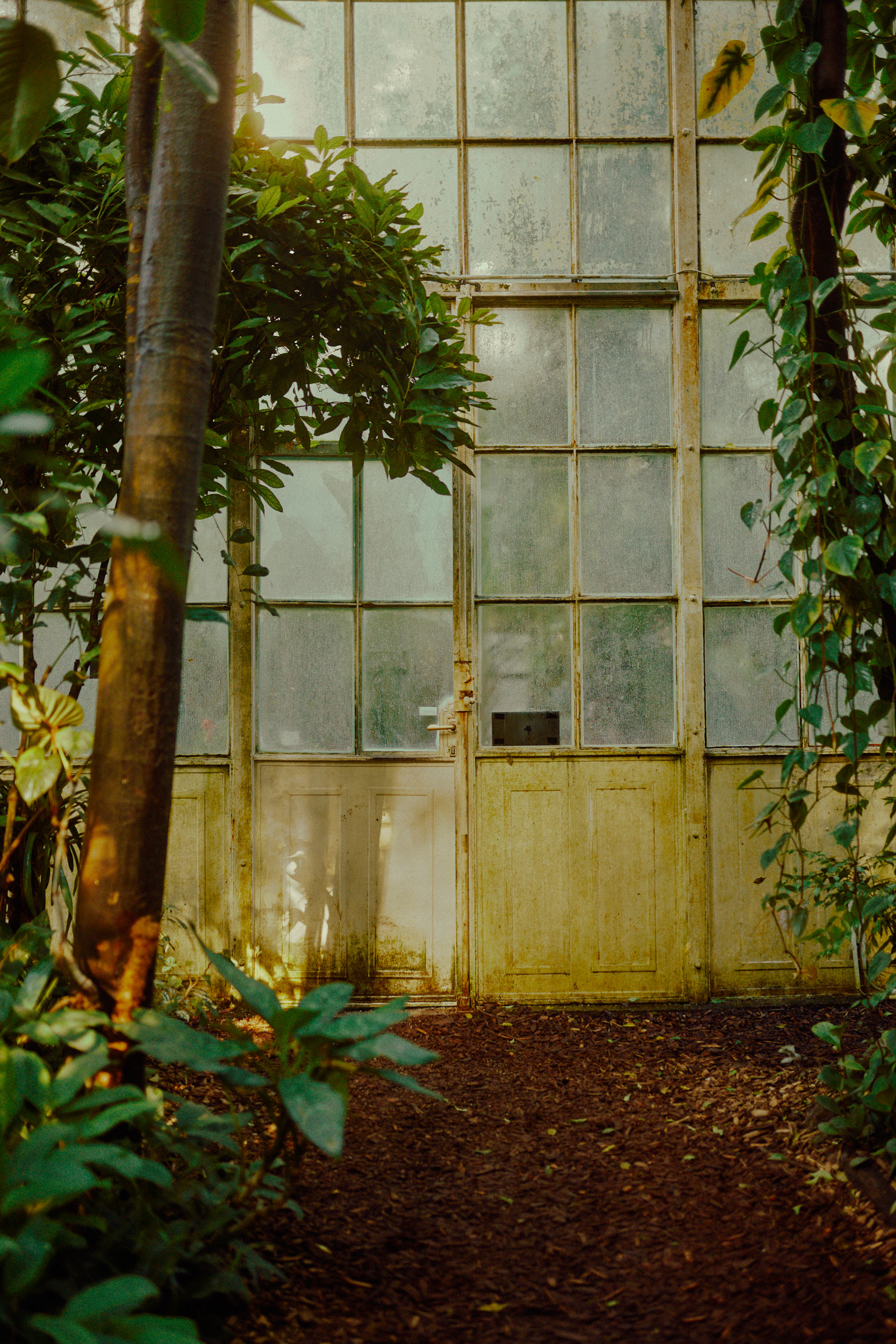 A detailed look at the intricate steel beams of the Palmenhaus by renowned photographer David Altrath