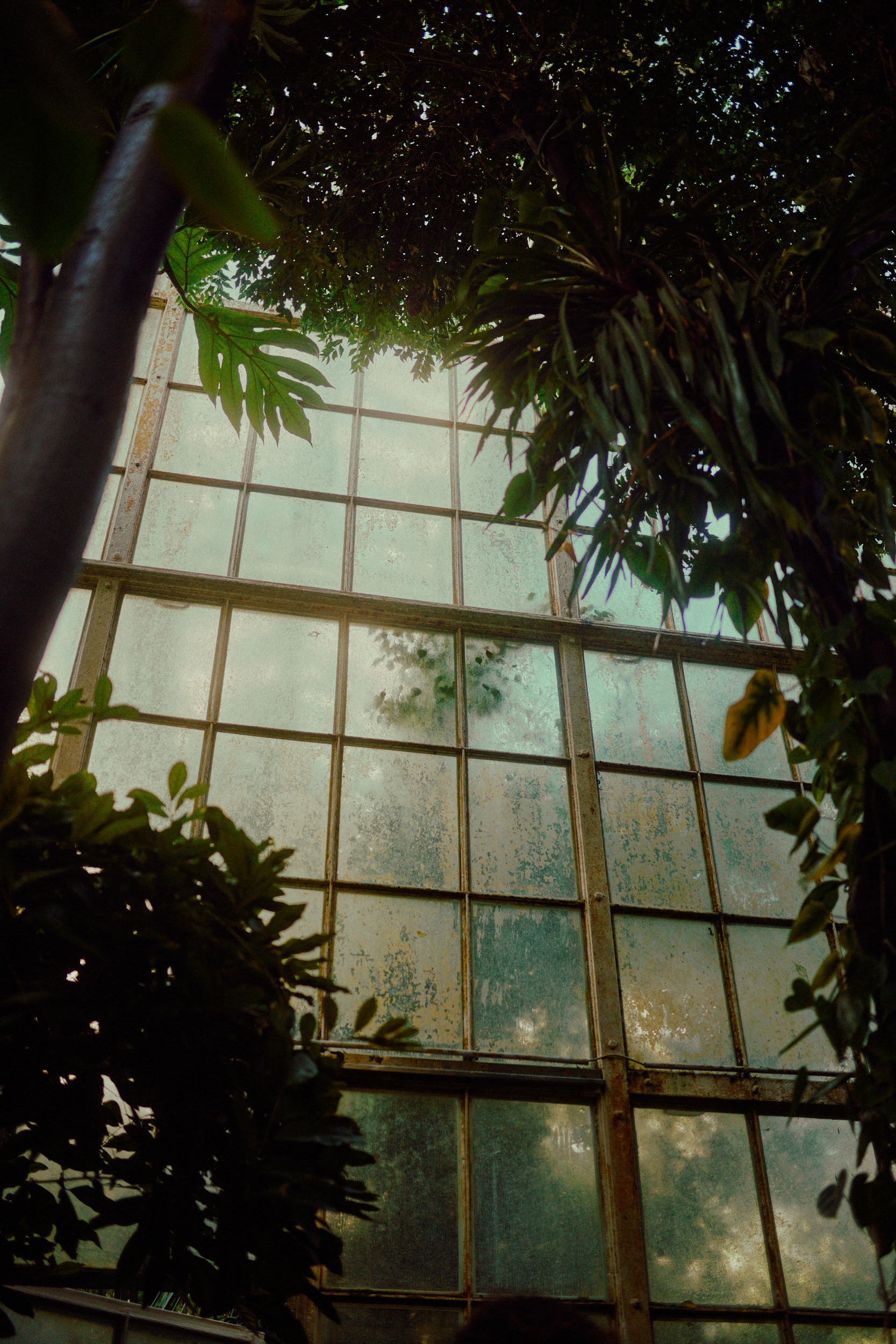 Historische Elemente des 19. Jahrhunderts, festgehalten von David Altrath im Palmenhaus.