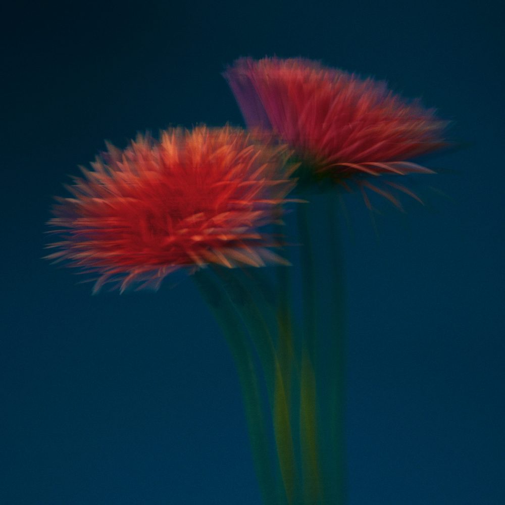 Produktfotograf Hamburg