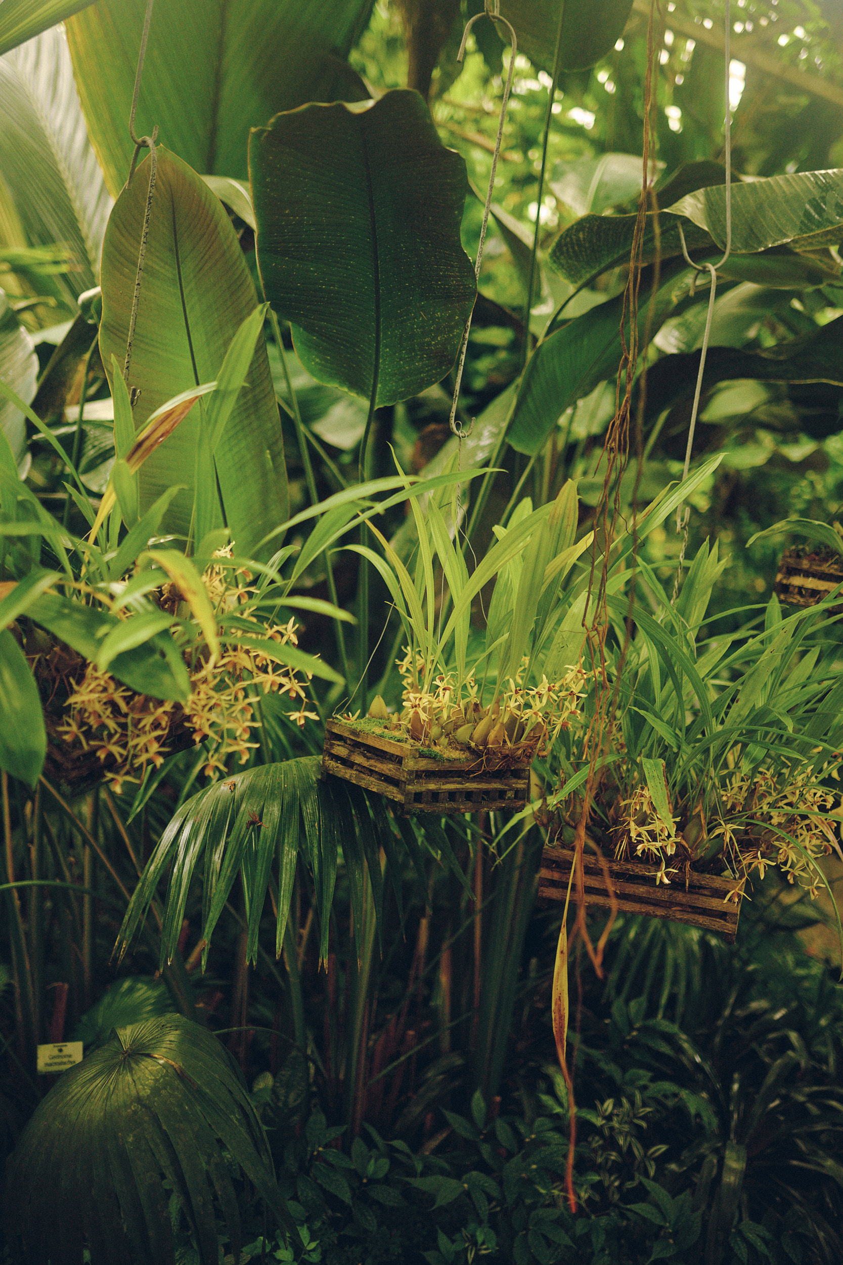 Botanischer Garten München-Nymphenburg