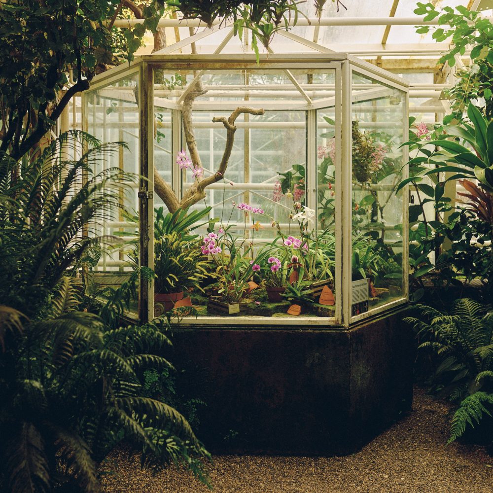 Orchideenhaus