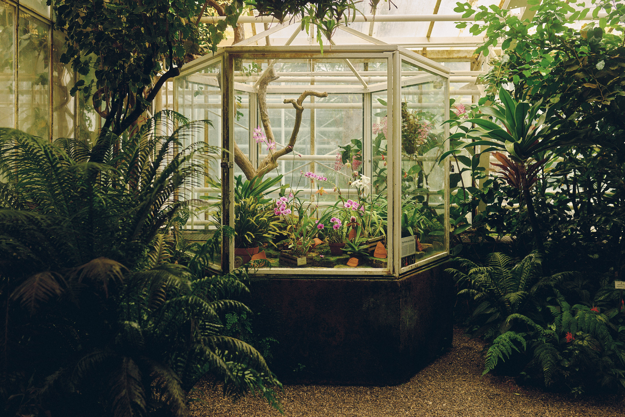 Botanischer Garten München-Nymphenburg