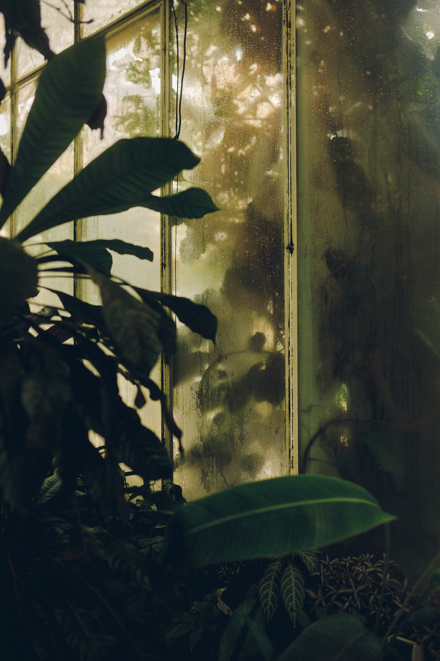 Botanischer Garten München-Nymphenburg