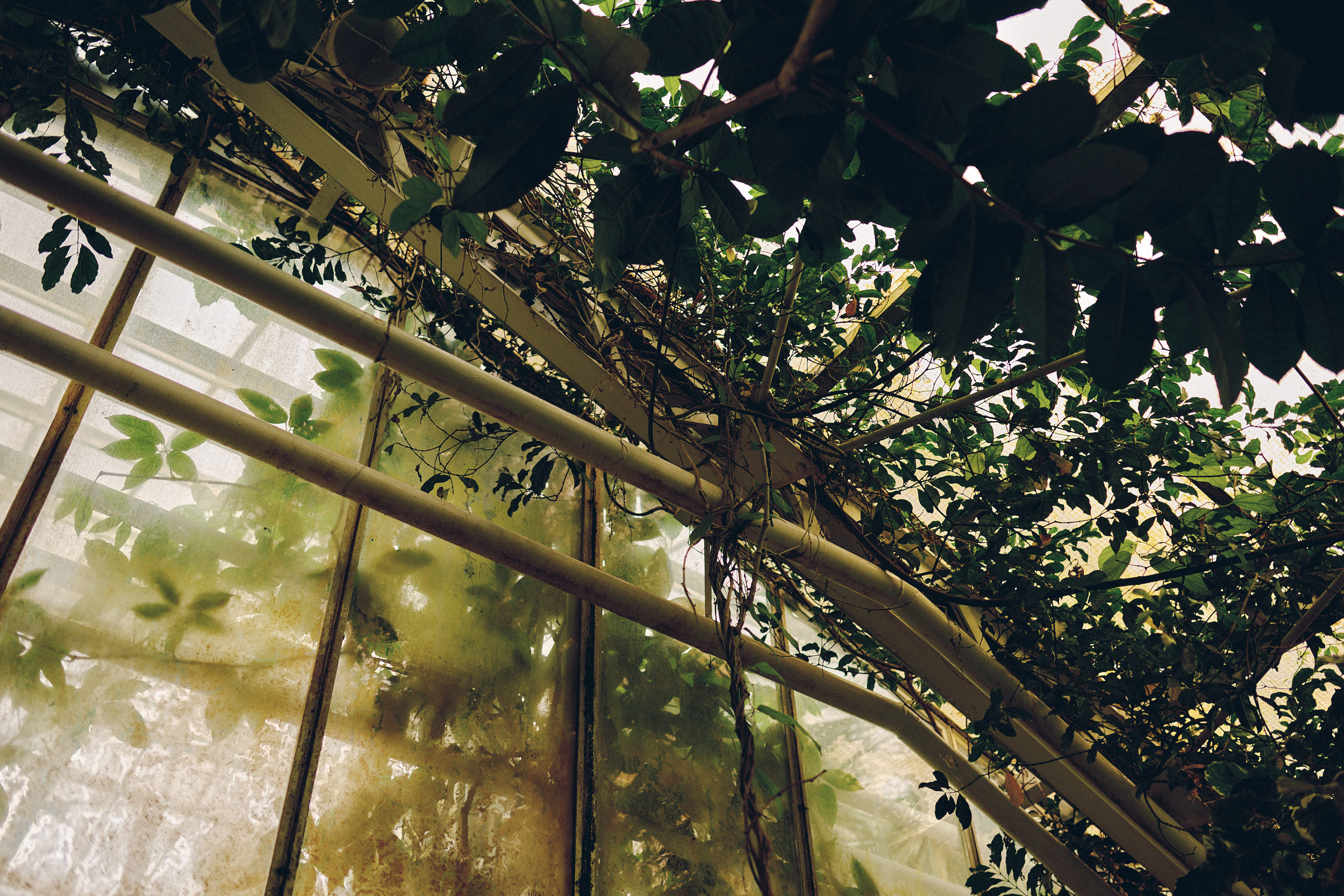 Botanischer Garten München-Nymphenburg