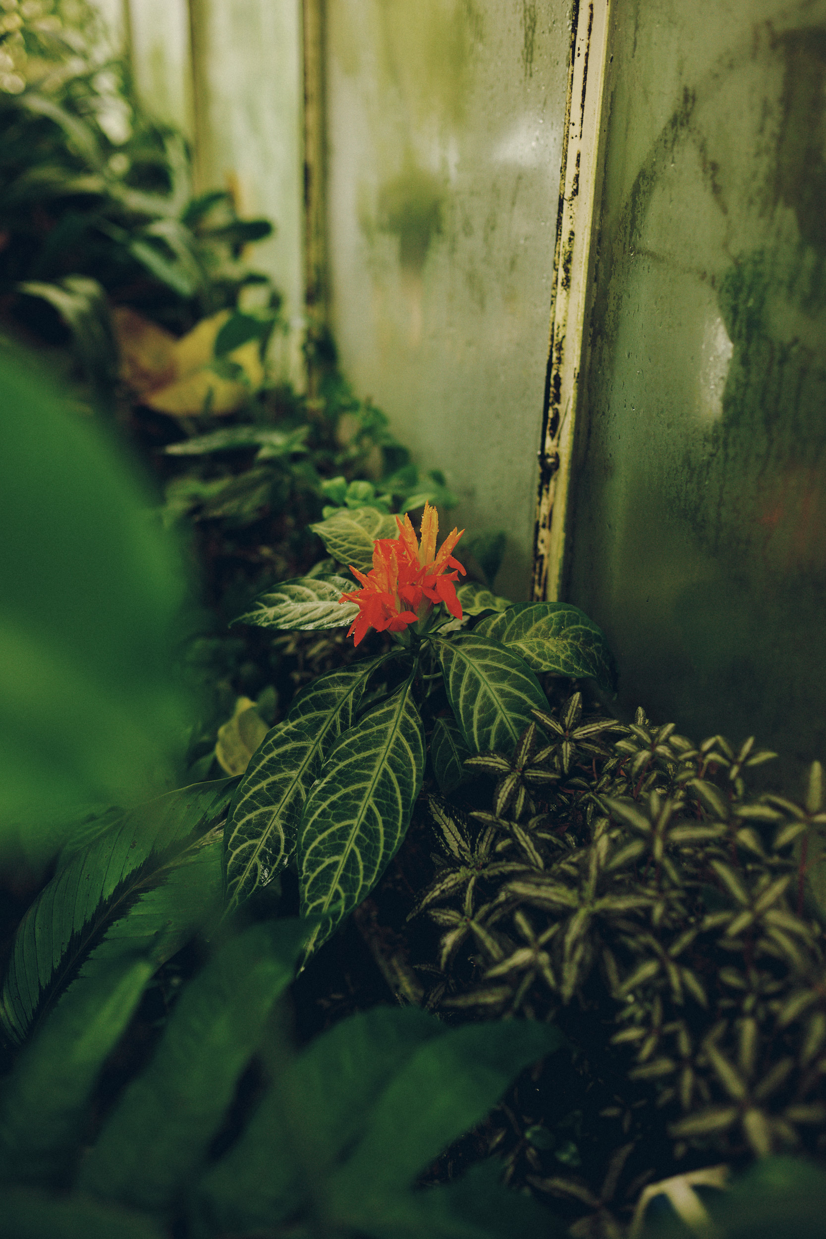 Botanischer Garten München-Nymphenburg