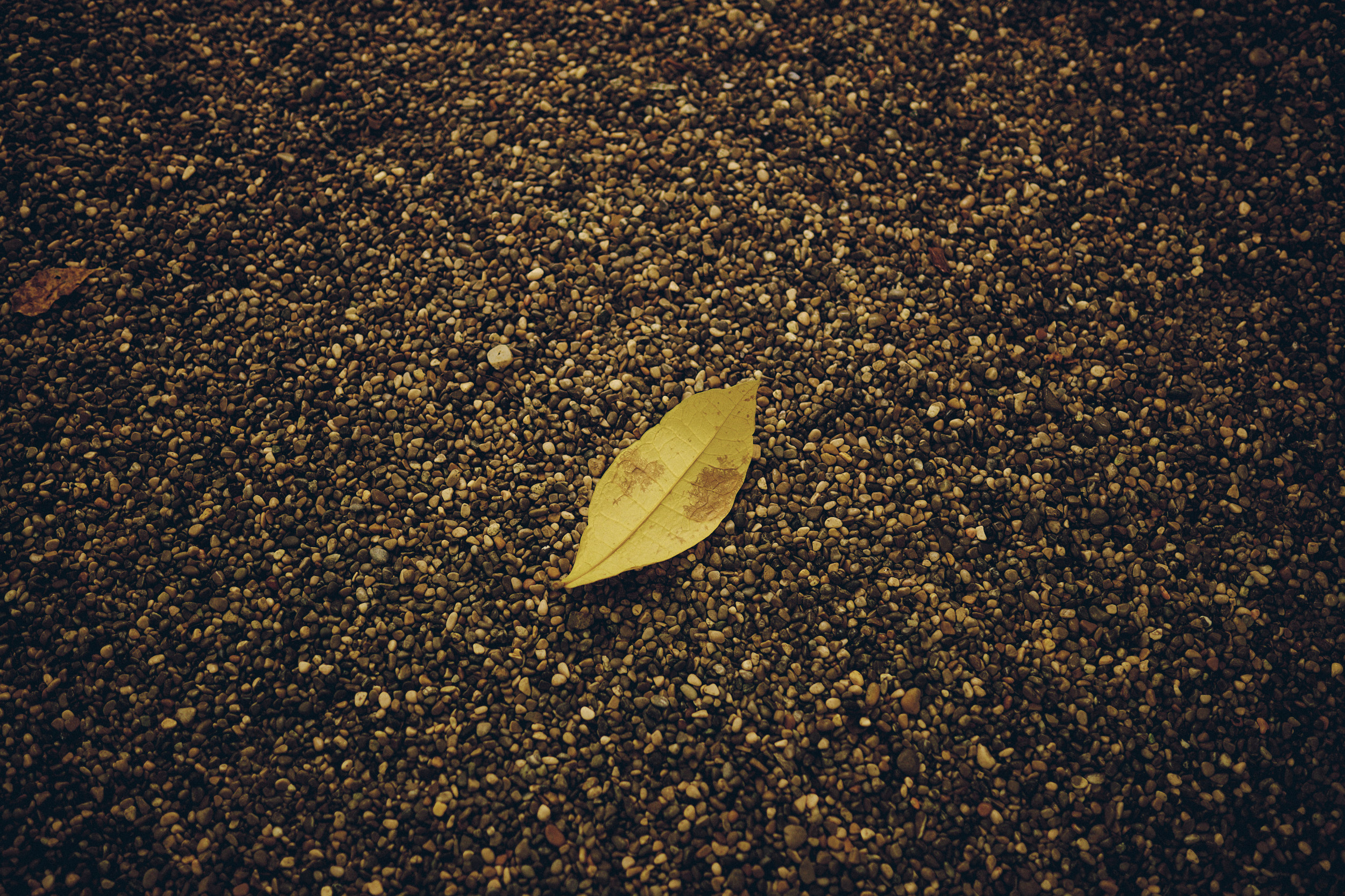 Botanischer Garten München-Nymphenburg