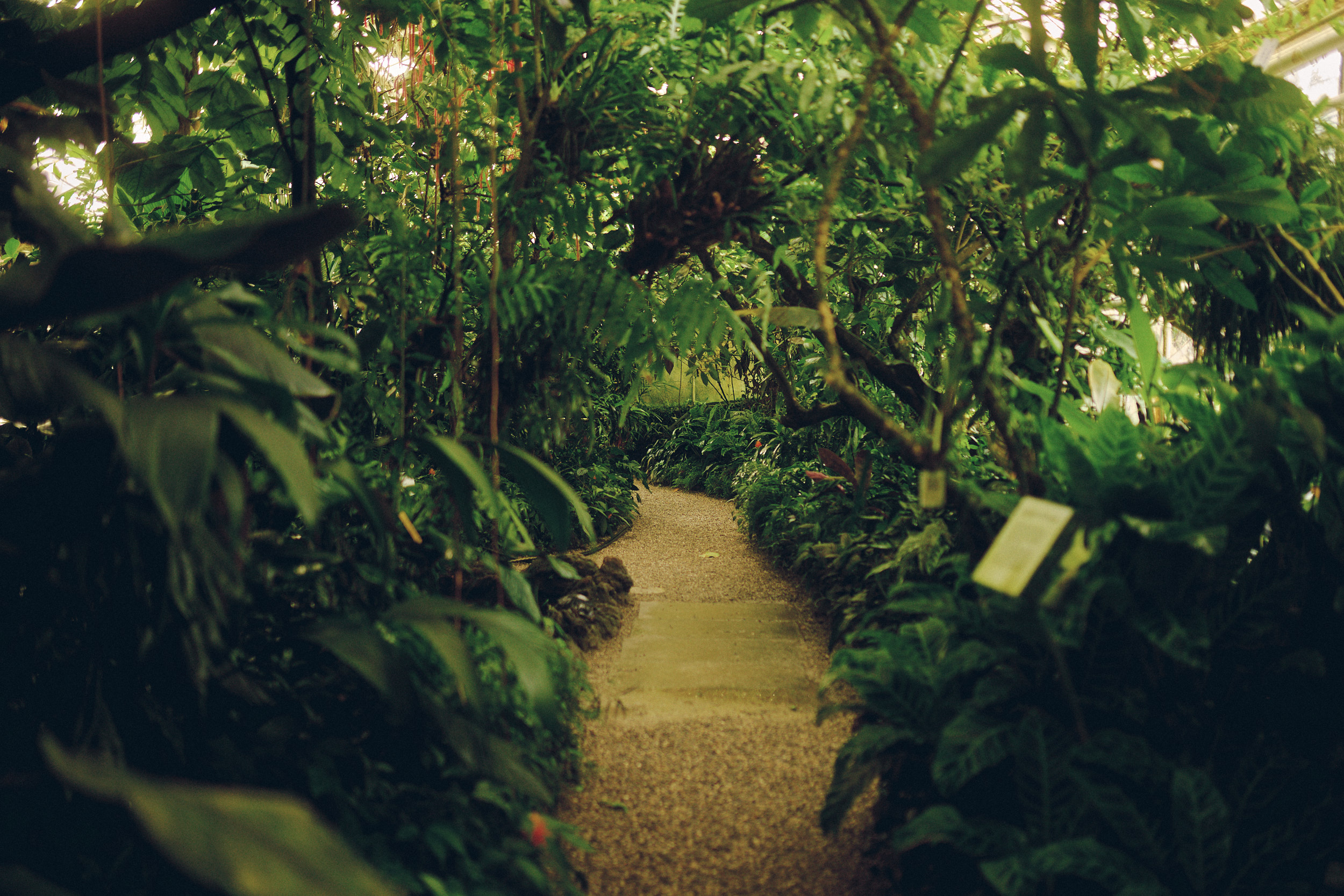 Botanischer Garten München-Nymphenburg
