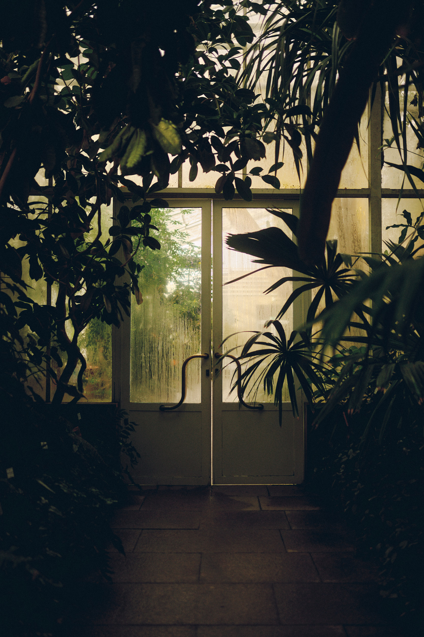 Botanischer Garten München-Nymphenburg