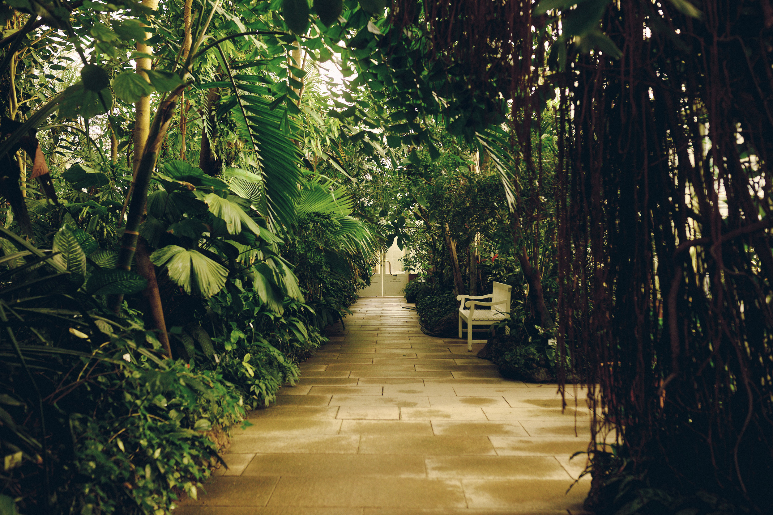 Botanischer Garten München-Nymphenburg