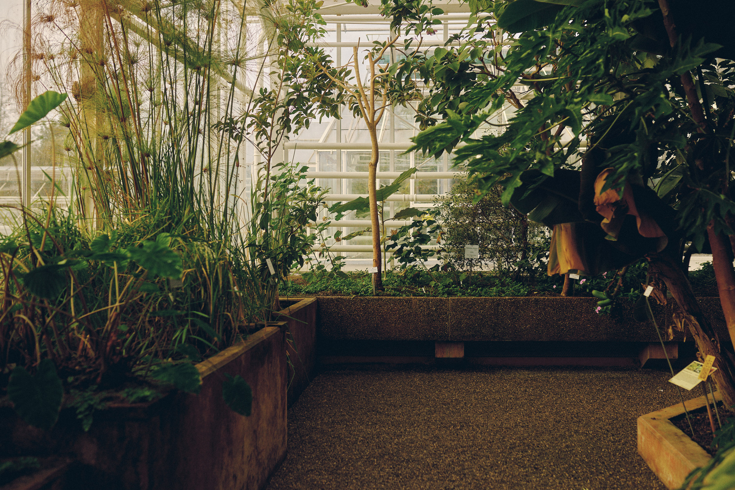 Botanischer Garten München-Nymphenburg