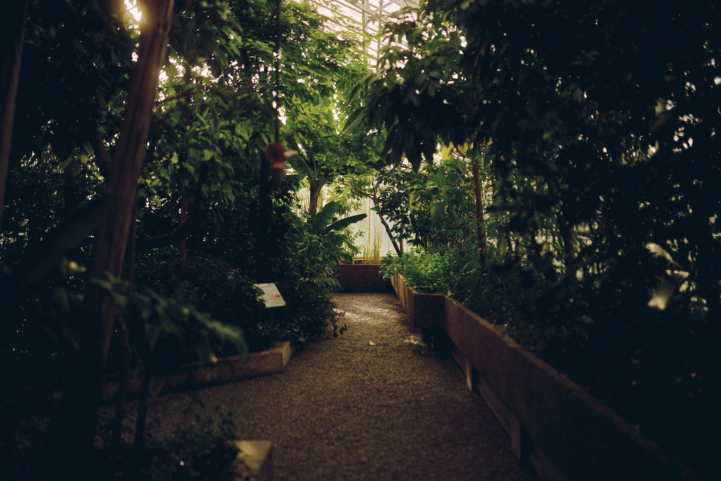 Botanischer Garten München-Nymphenburg