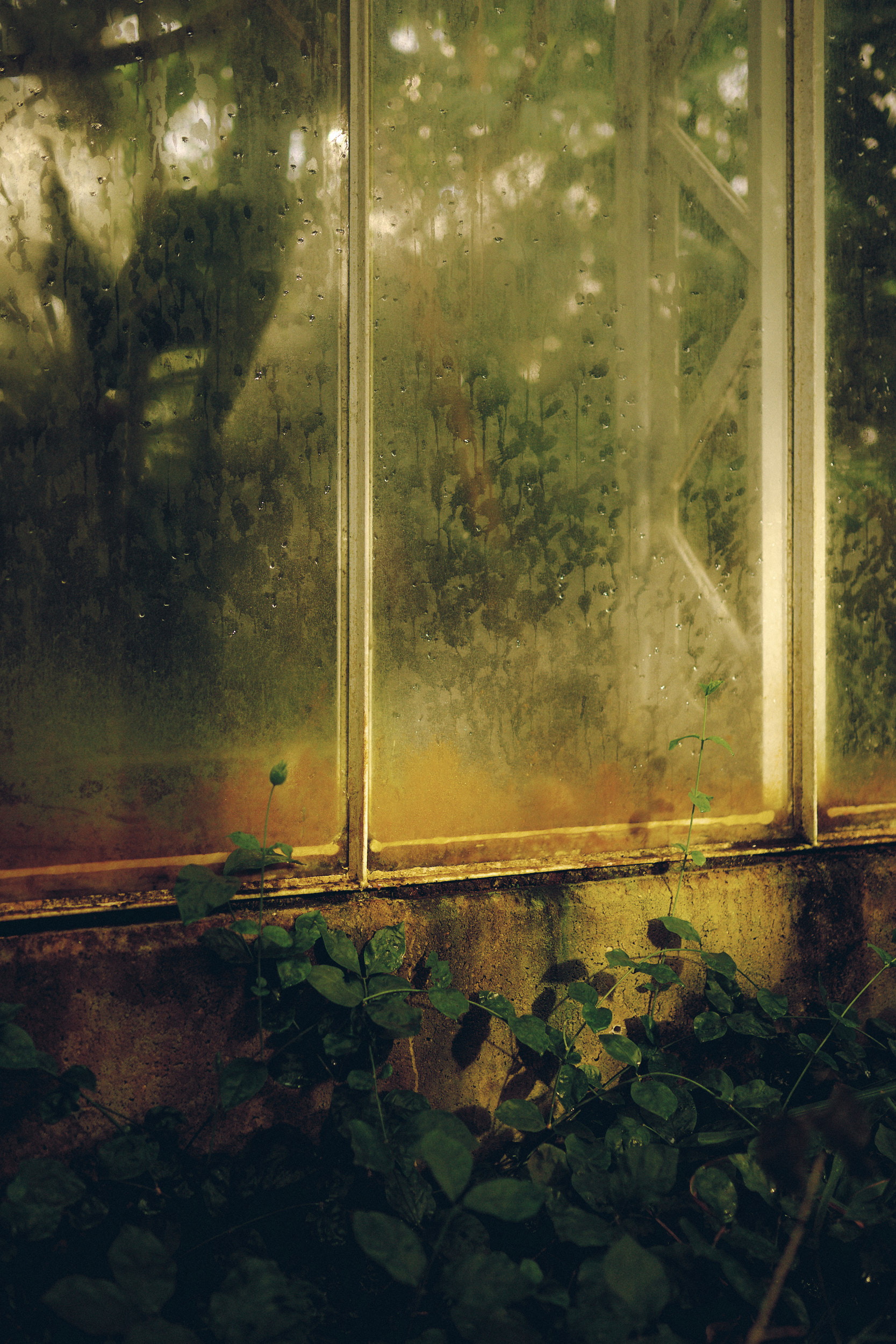 Botanischer Garten München-Nymphenburg