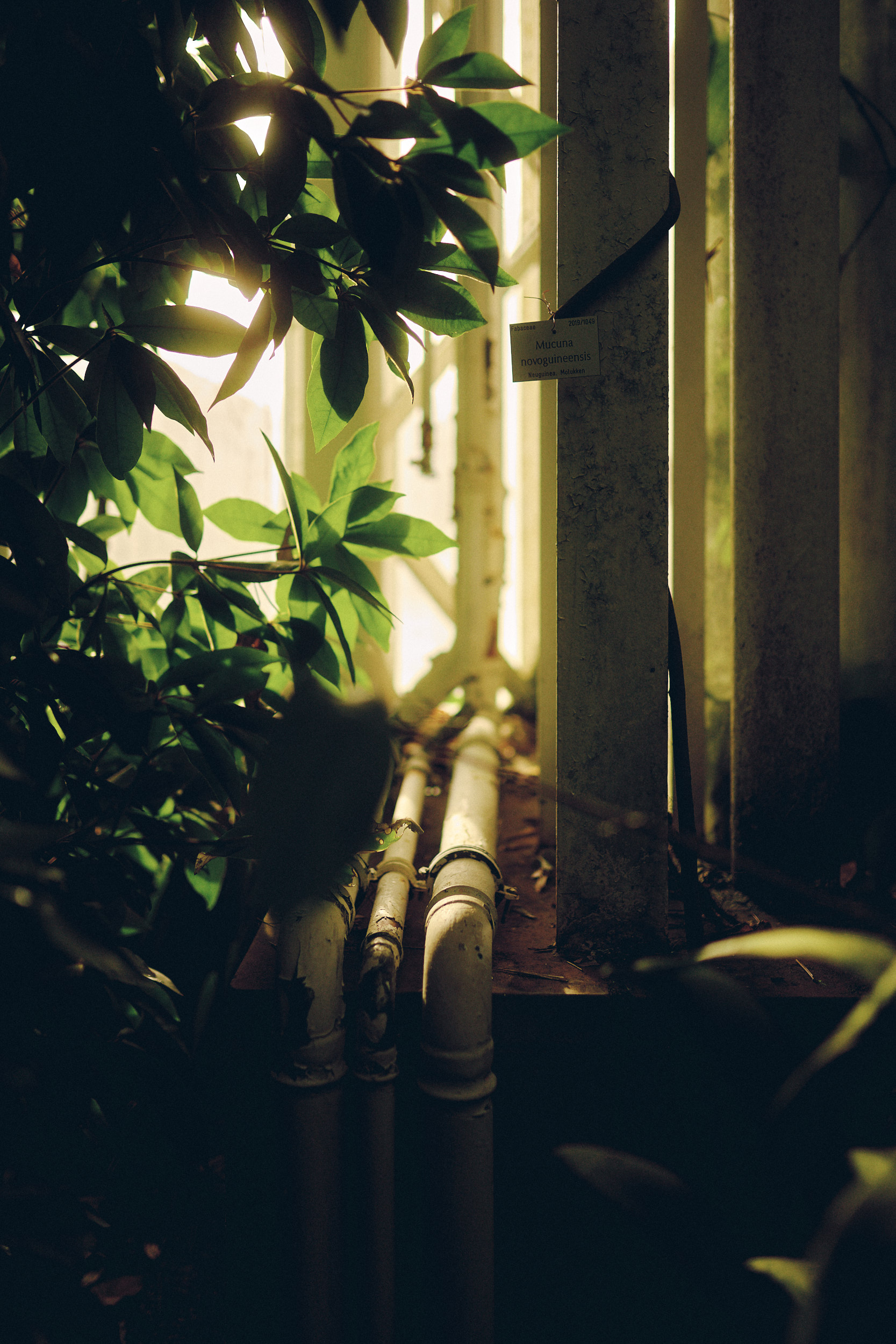 Botanischer Garten München-Nymphenburg