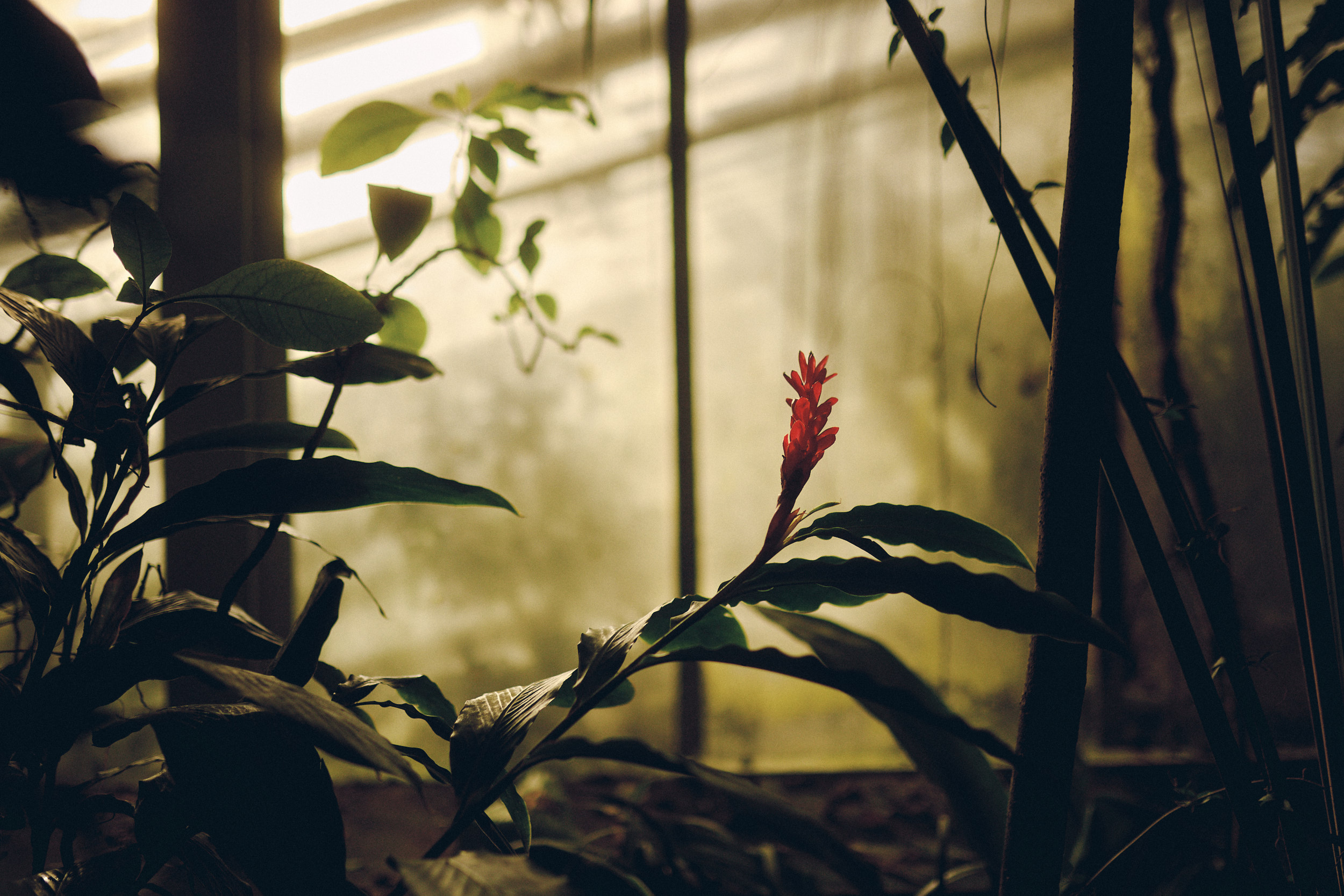 Botanischer Garten München-Nymphenburg