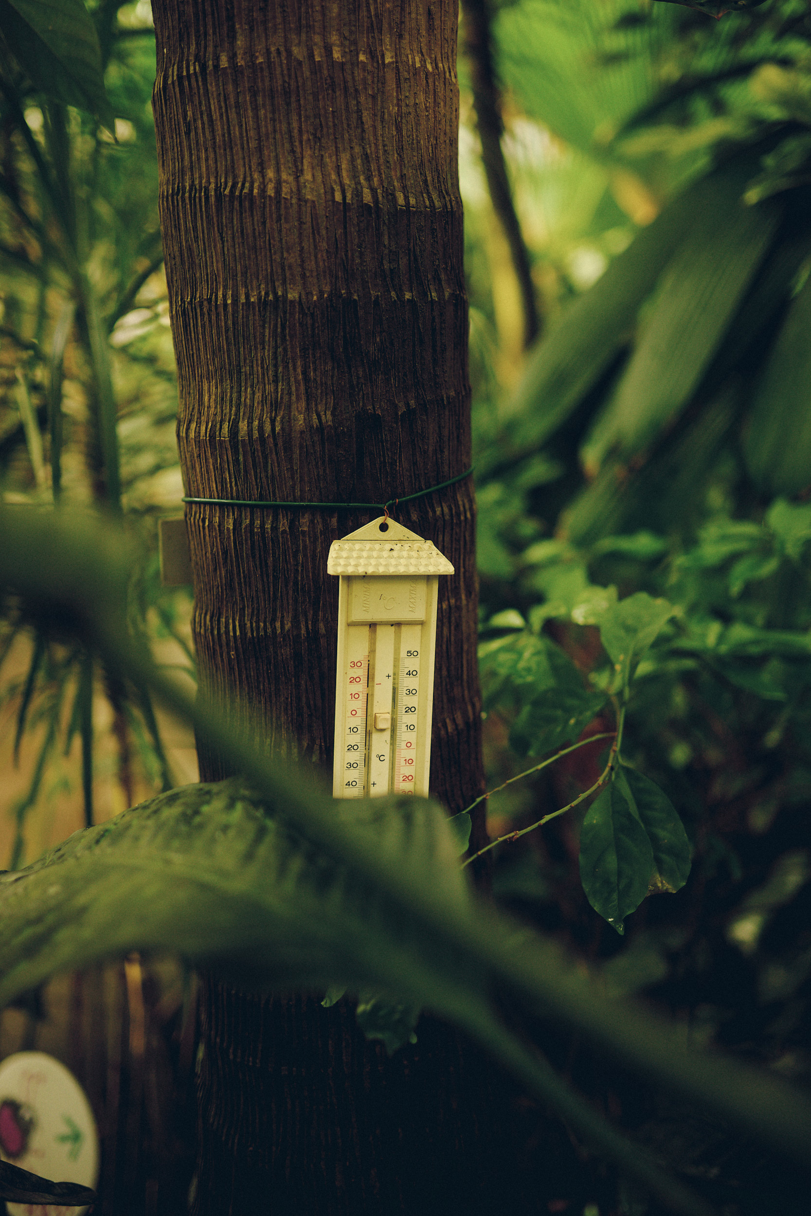Botanischer Garten München-Nymphenburg