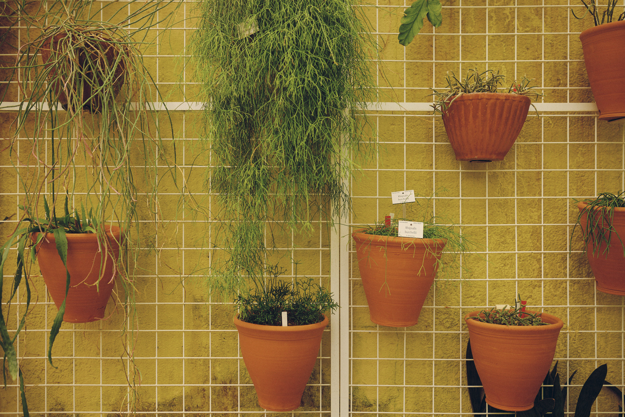 Botanischer Garten München-Nymphenburg