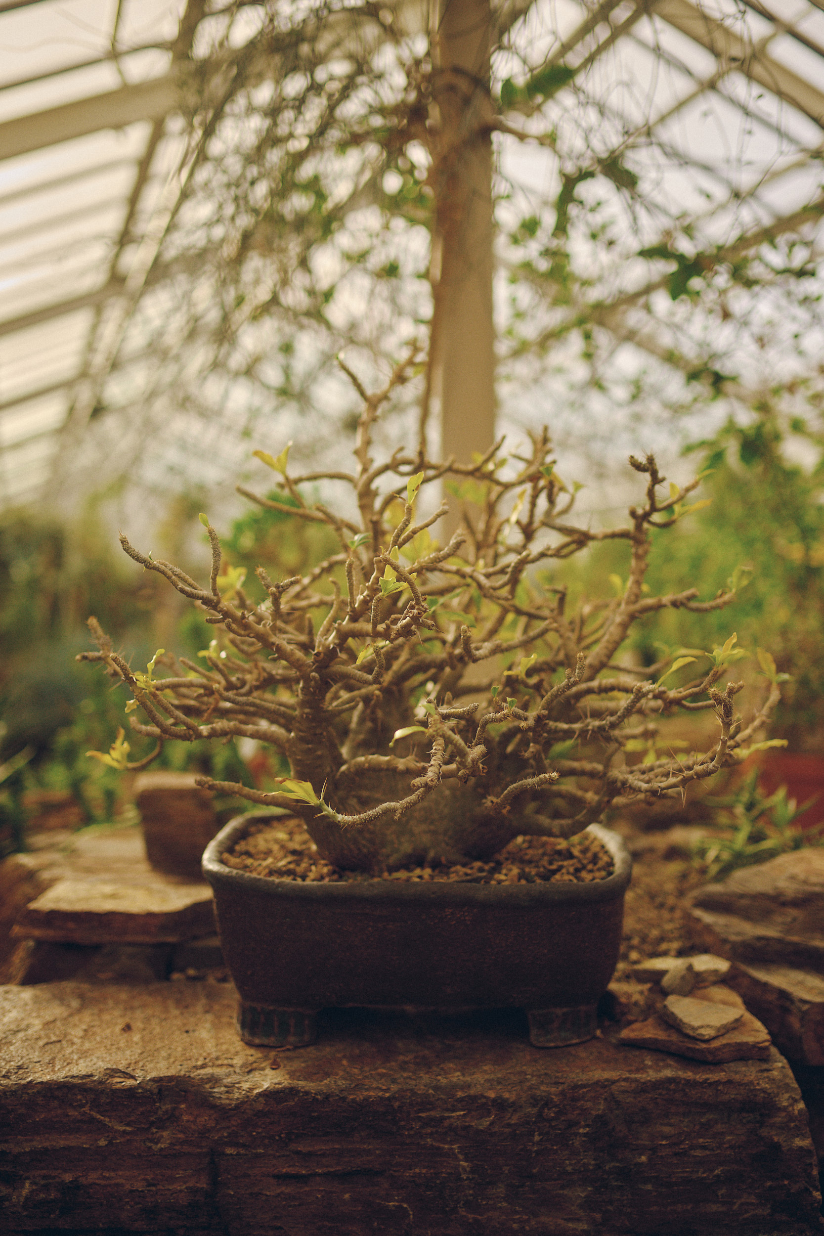 Botanischer Garten München-Nymphenburg