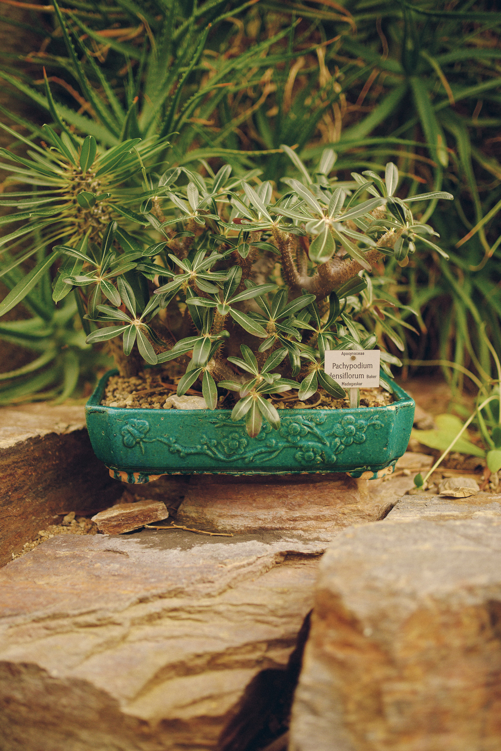 Botanischer Garten München-Nymphenburg