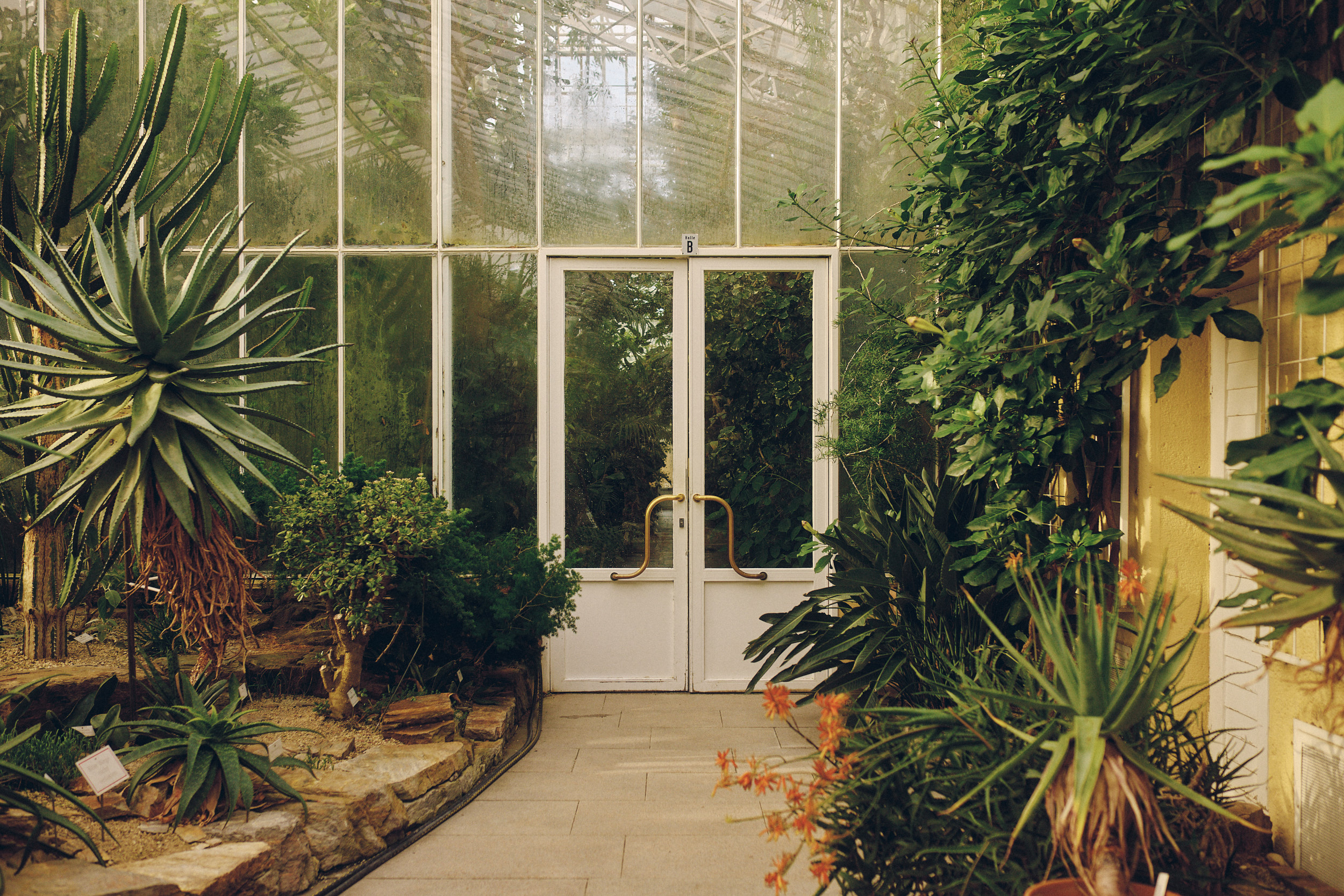 Botanischer Garten München-Nymphenburg