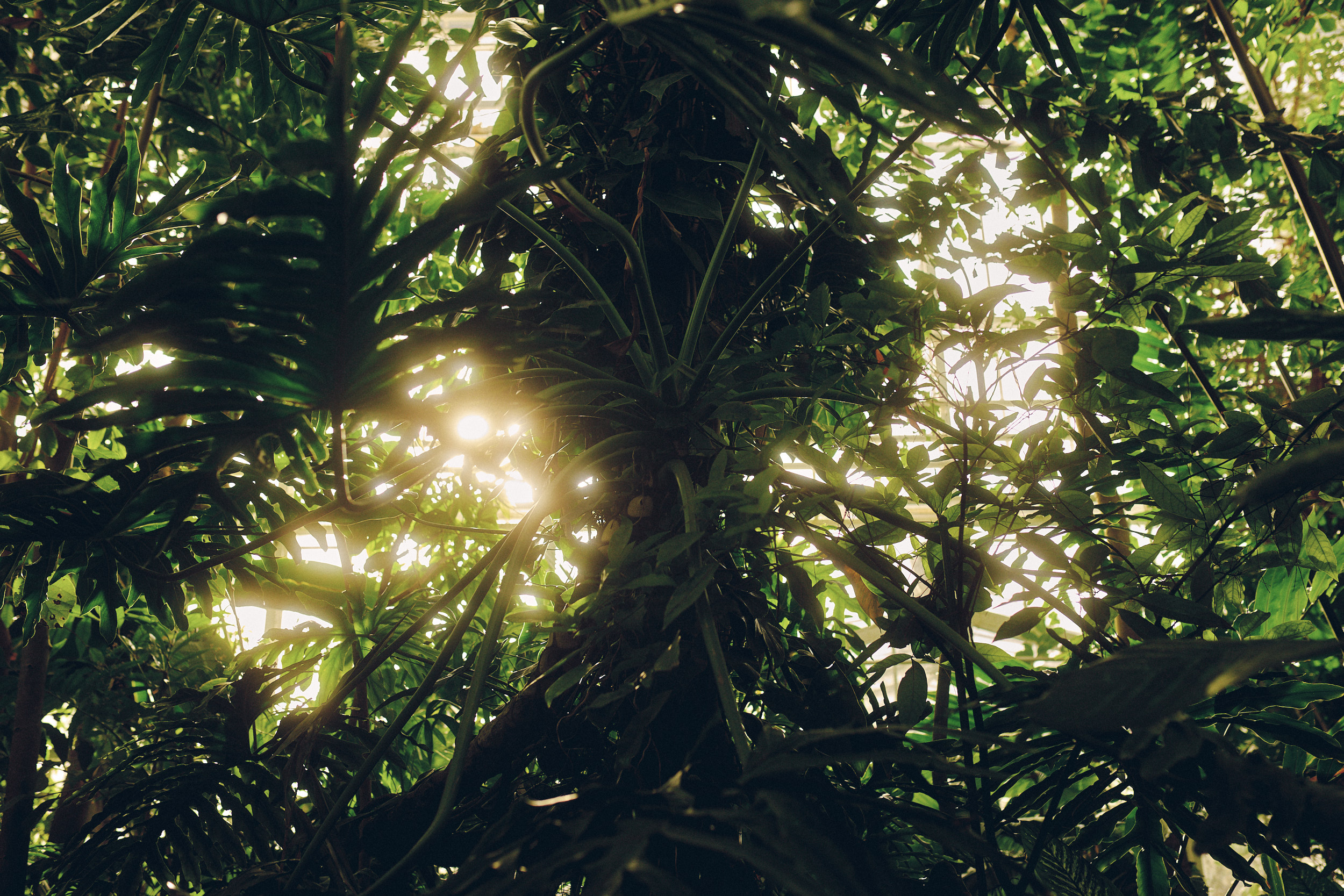 Botanischer Garten München-Nymphenburg