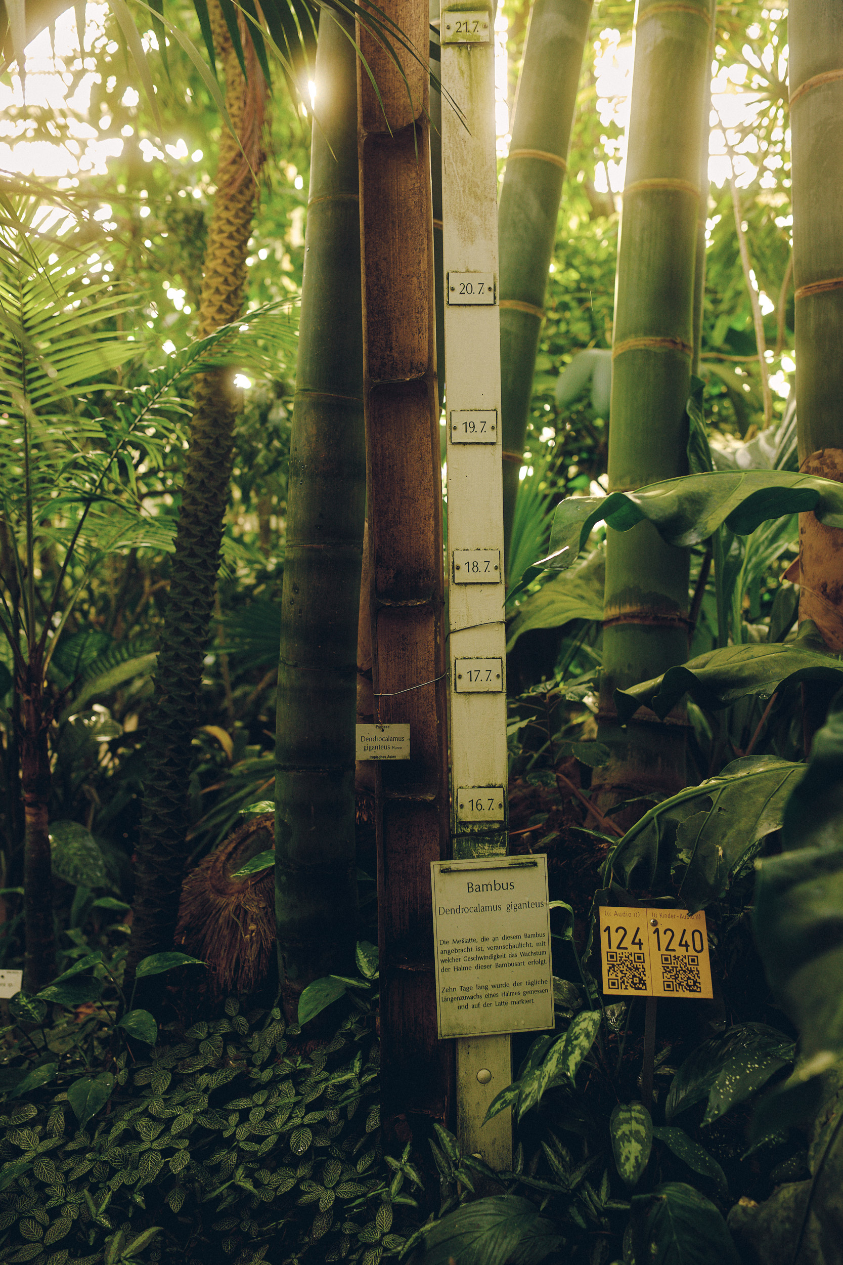 Botanischer Garten München-Nymphenburg