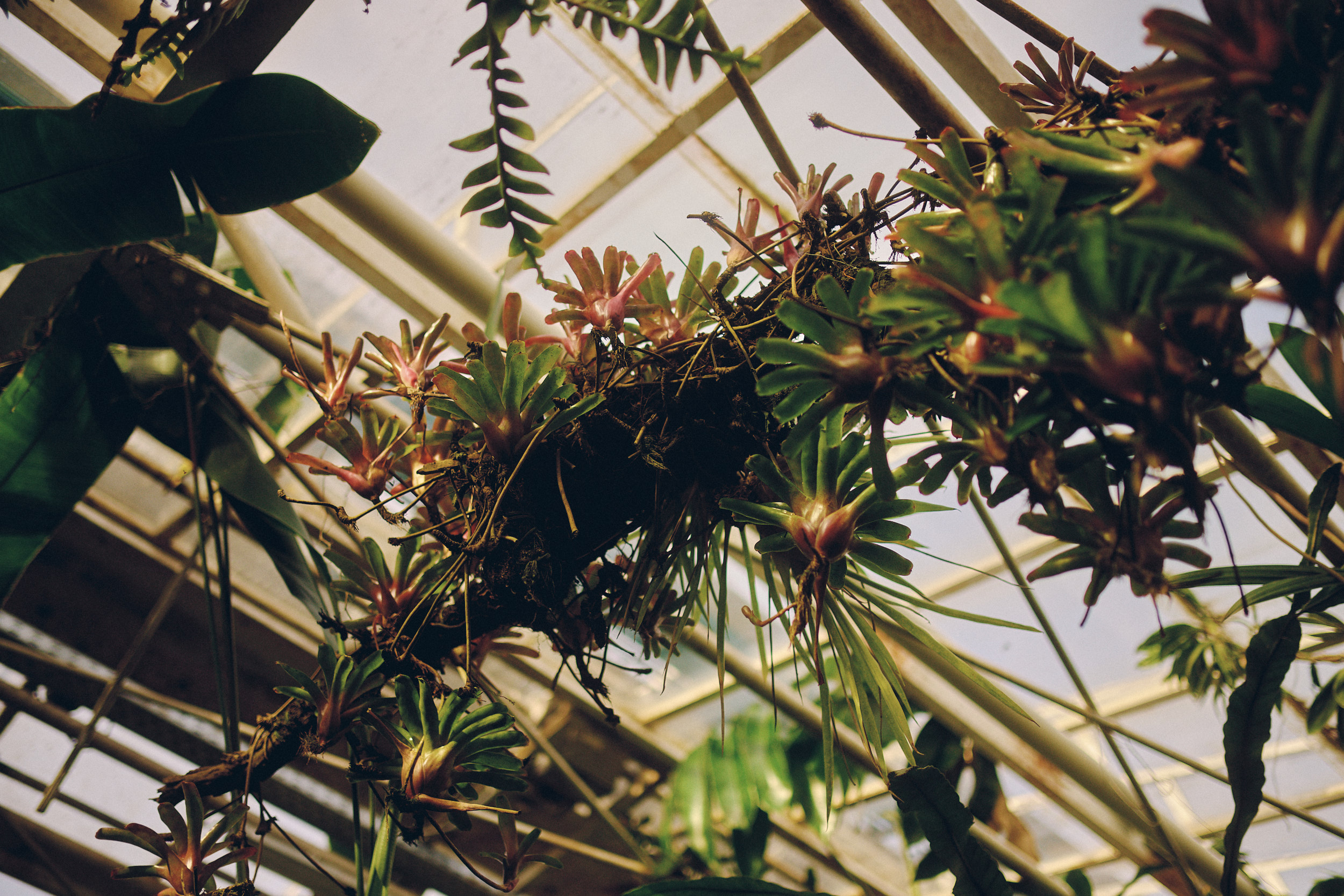 Botanischer Garten München-Nymphenburg