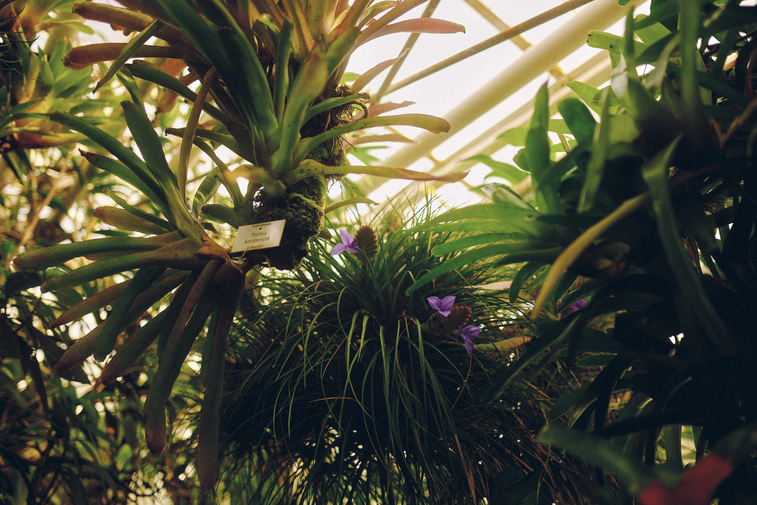 Botanischer Garten München-Nymphenburg